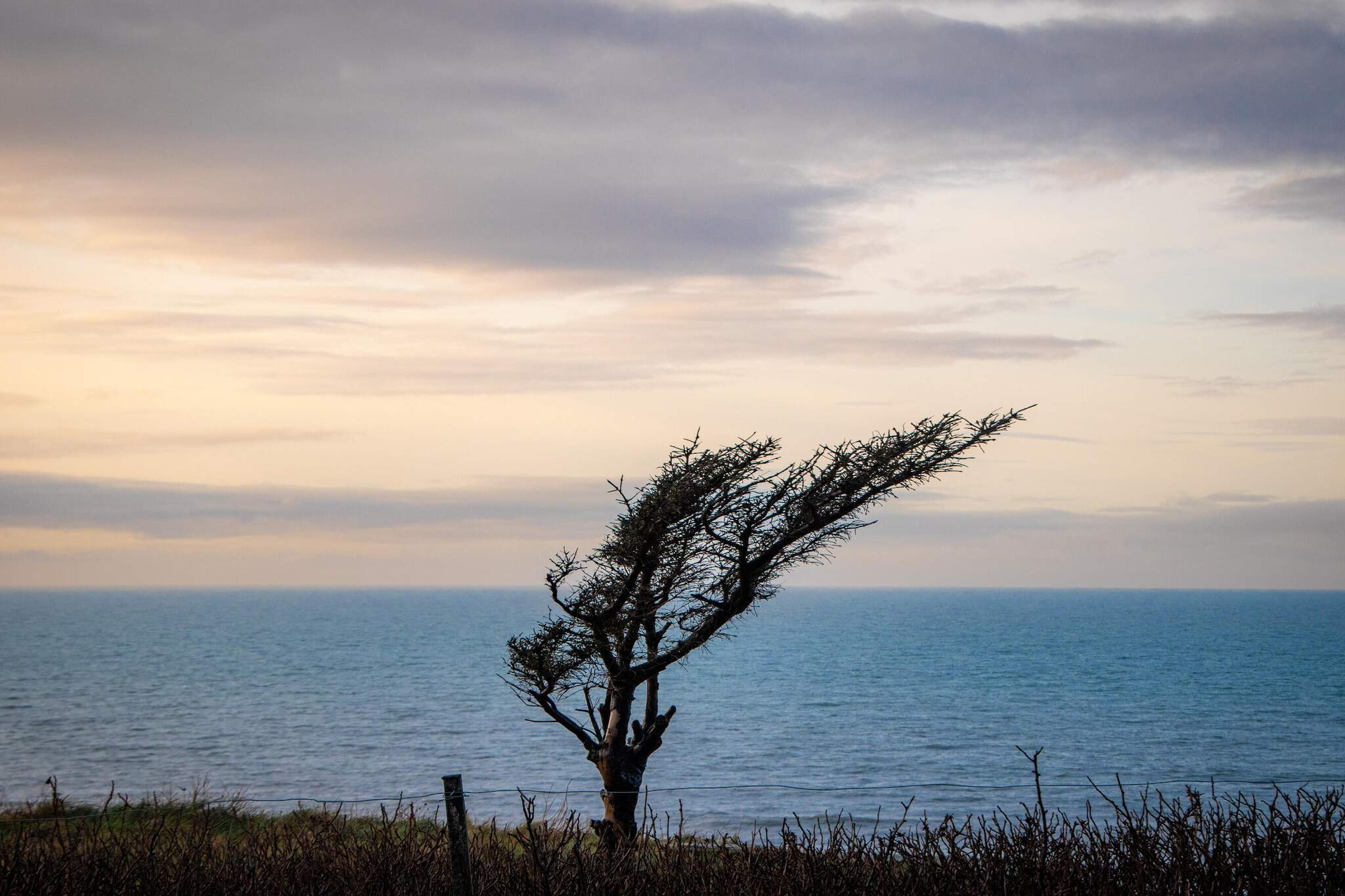 8 persoons vakantie huis in Hjørring-Waterzicht