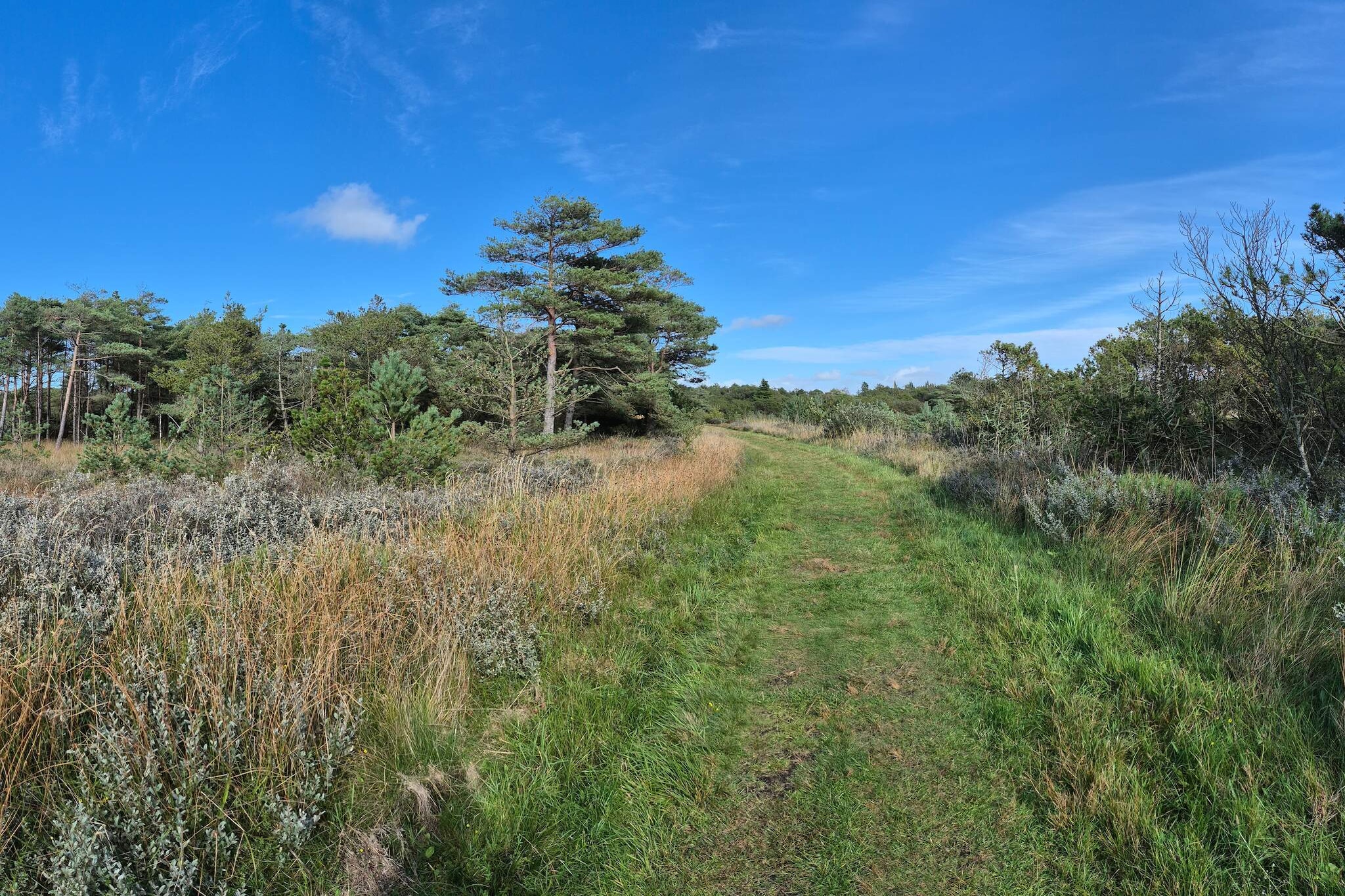 12 person holiday home in Rømø-Untagged