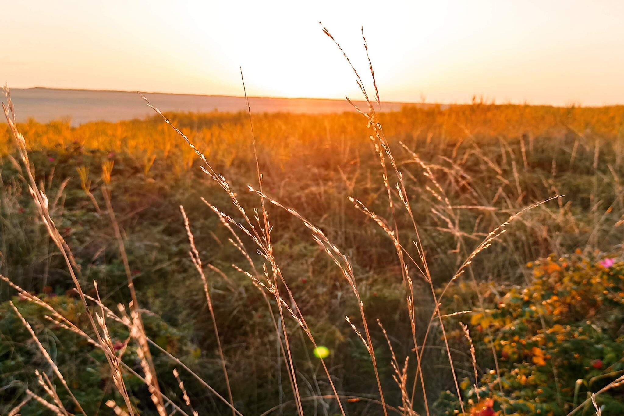 12 person holiday home in Rømø-Untagged