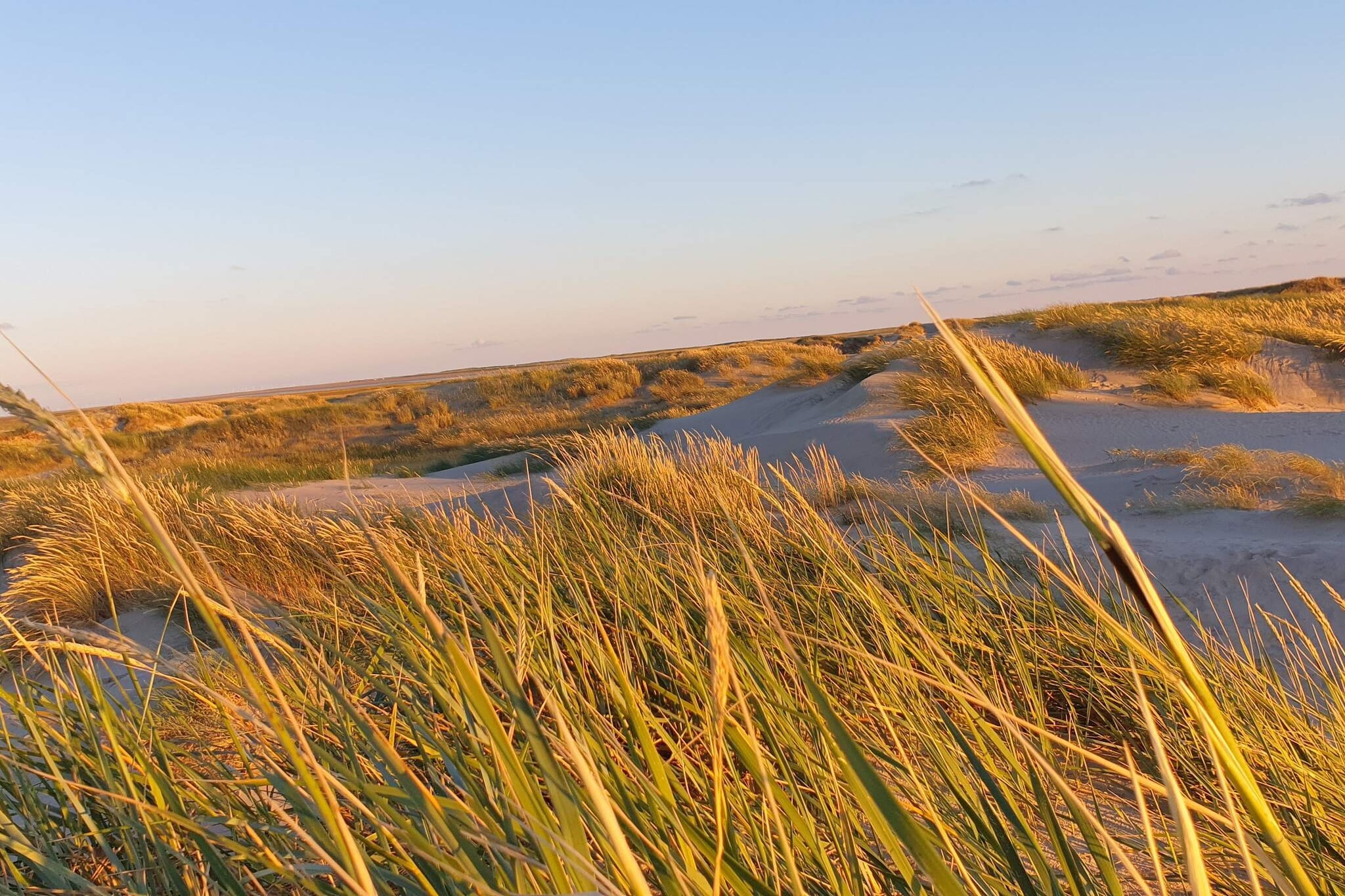 12 person holiday home in Rømø-Untagged