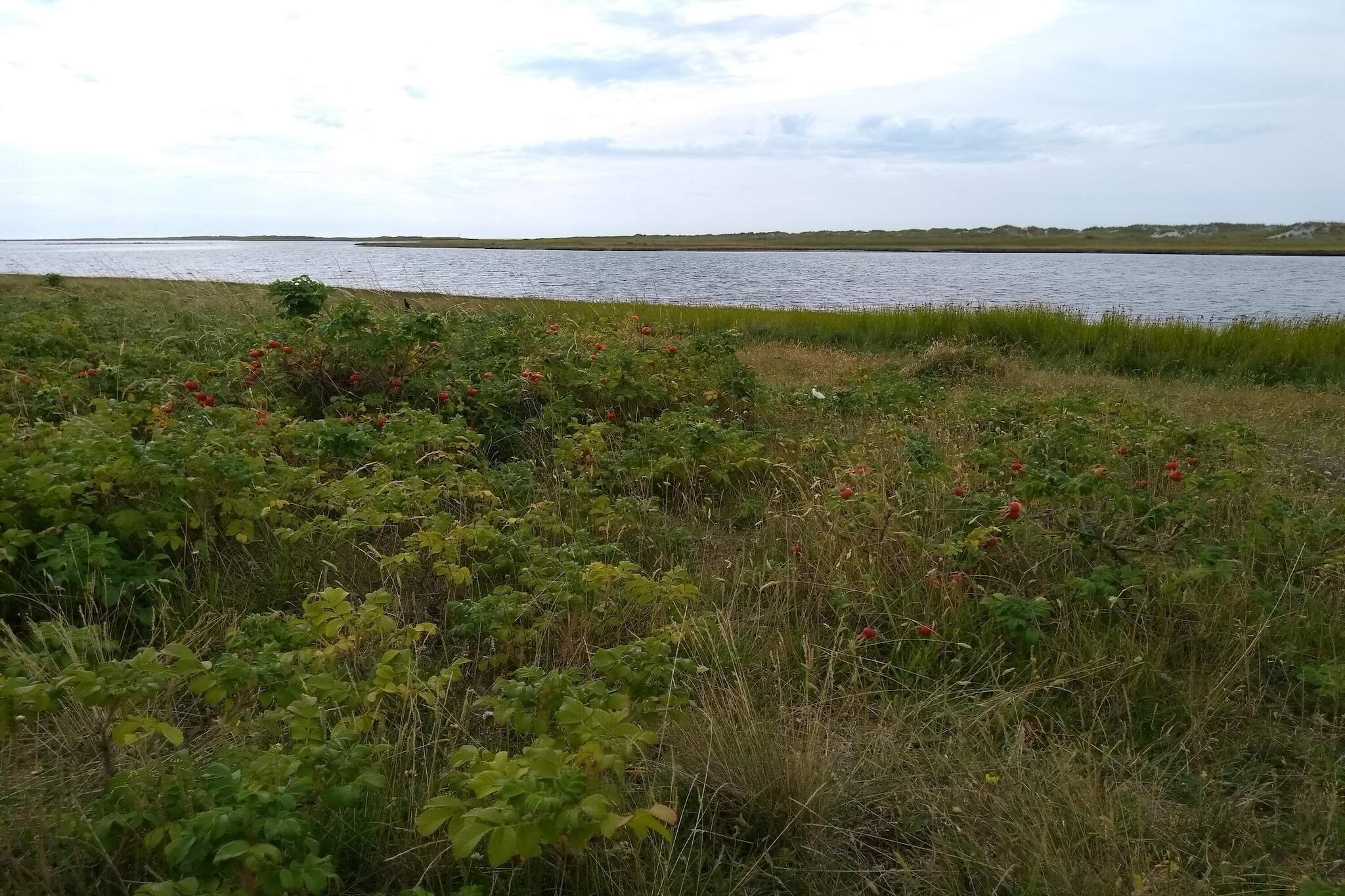 4 person holiday home in Læsø-Water view