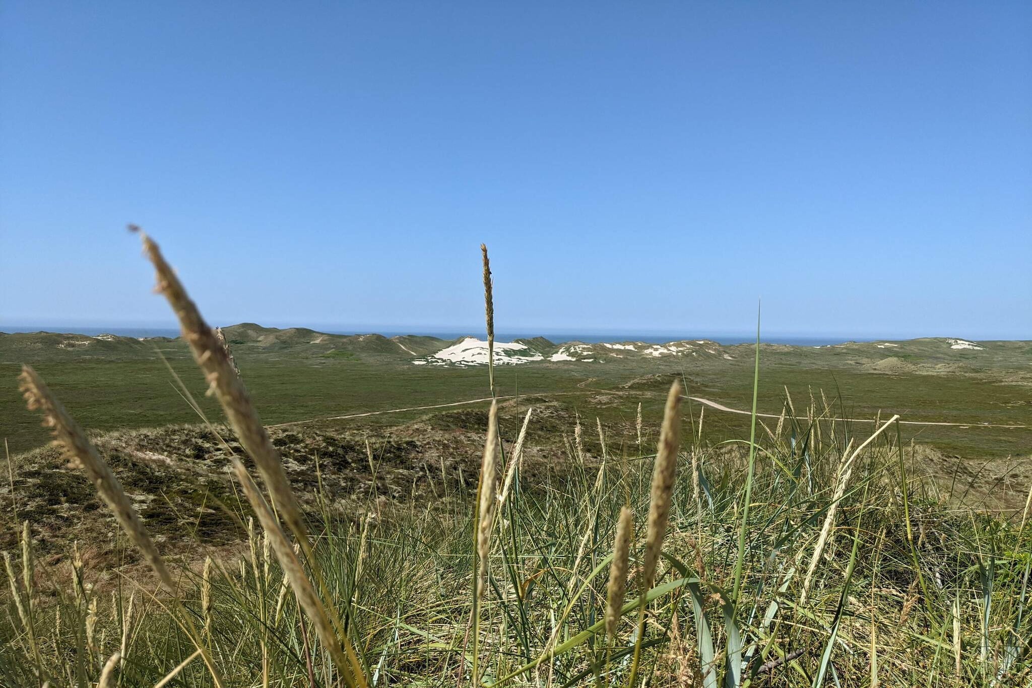 Maison de vacances pour 5 a Hvide Sande-Non tagué