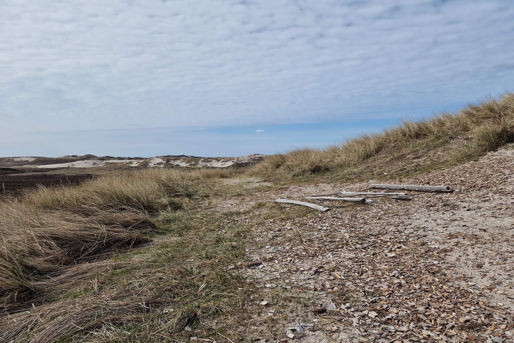 Maison de vacances pour 5 a Hvide Sande-Non tagué