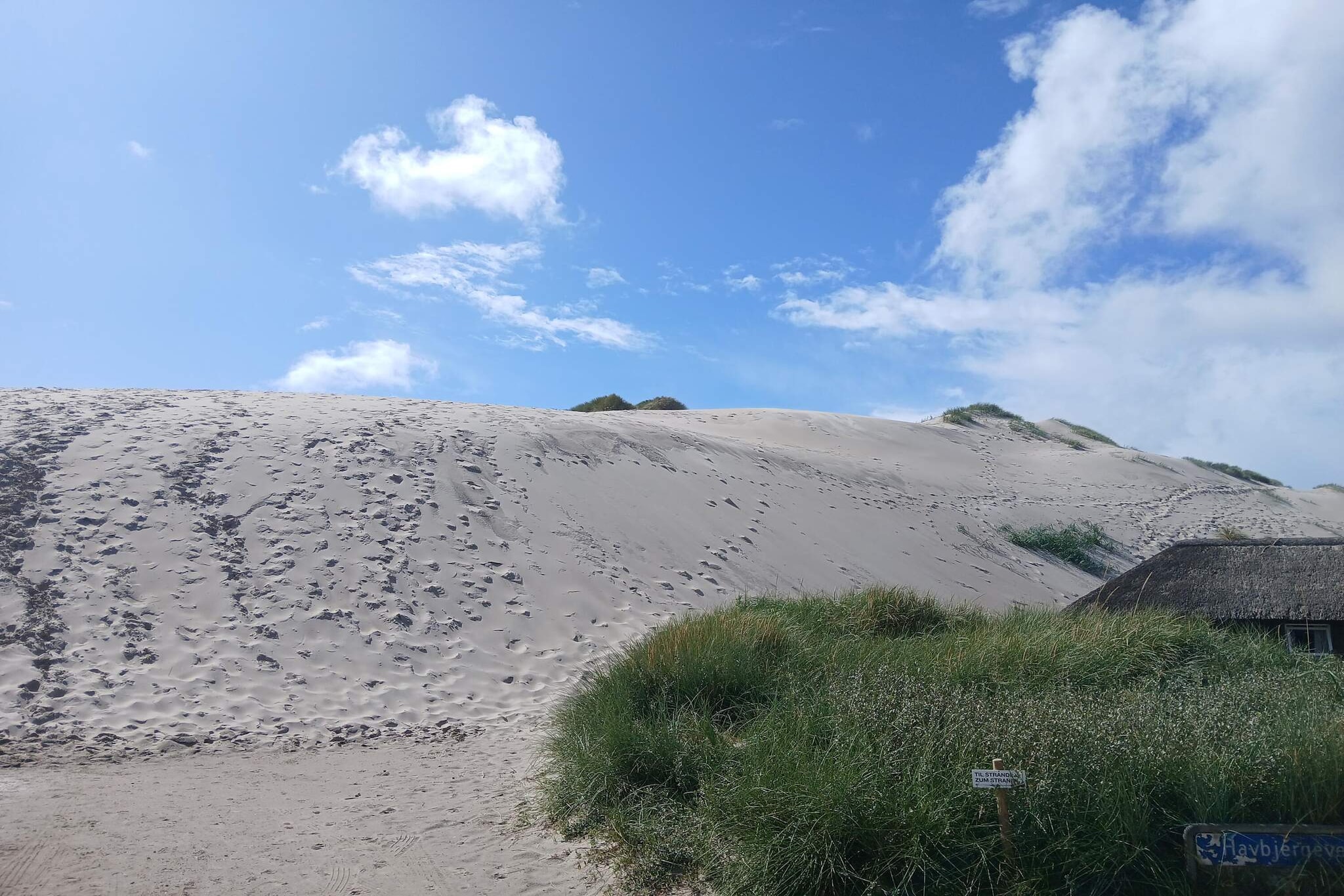 Maison de vacances pour 5 a Hvide Sande-Non tagué