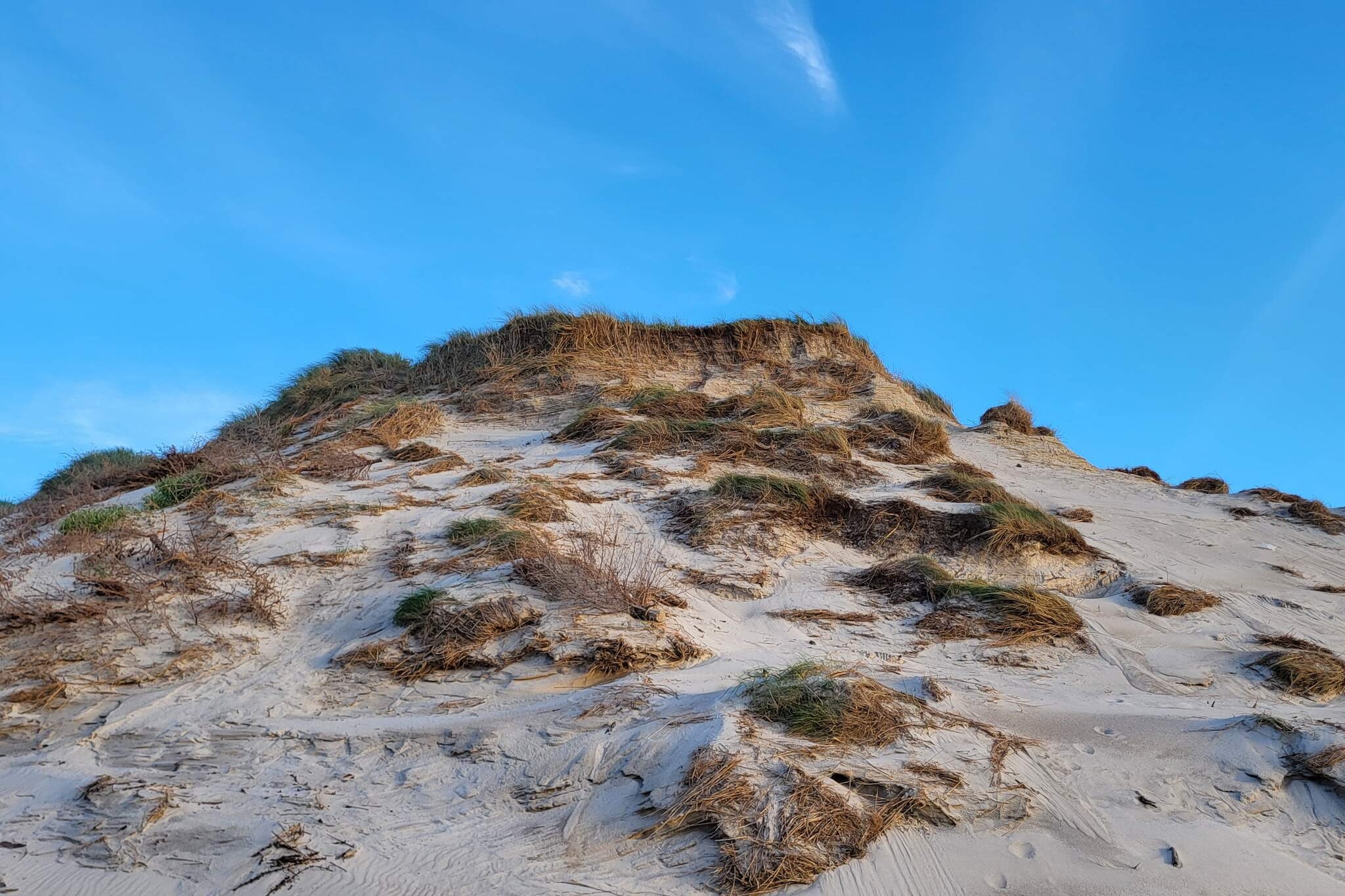 Maison de vacances pour 5 a Hvide Sande-Non tagué
