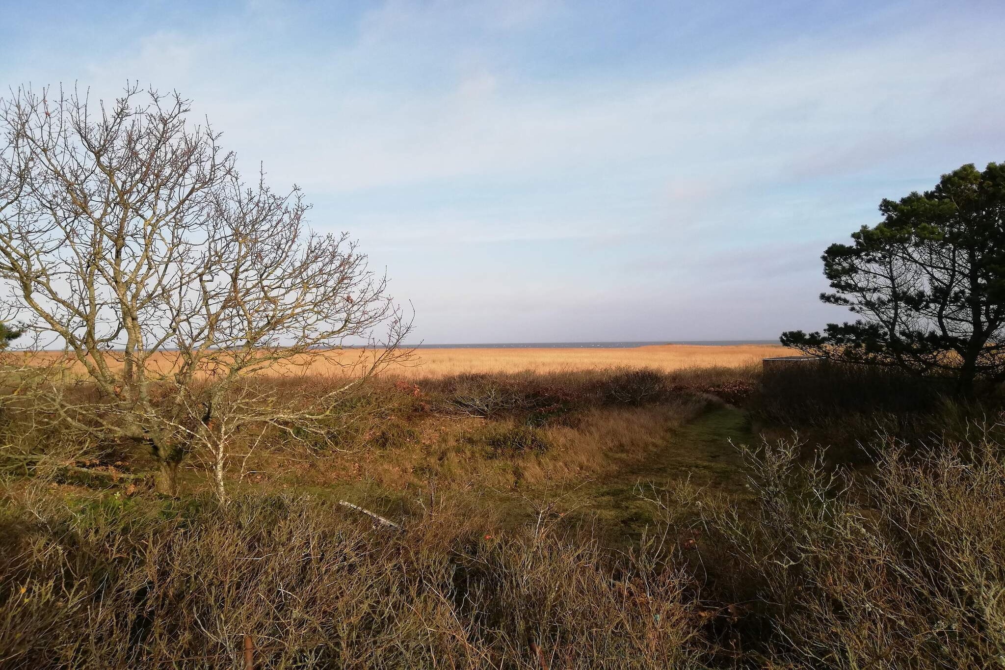 Maison de vacances pour 5 a Hvide Sande-Non tagué