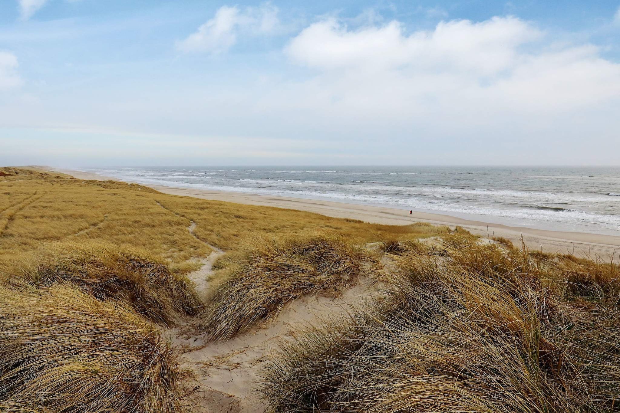 Maison de vacances pour 5 a Hvide Sande - Non tagué