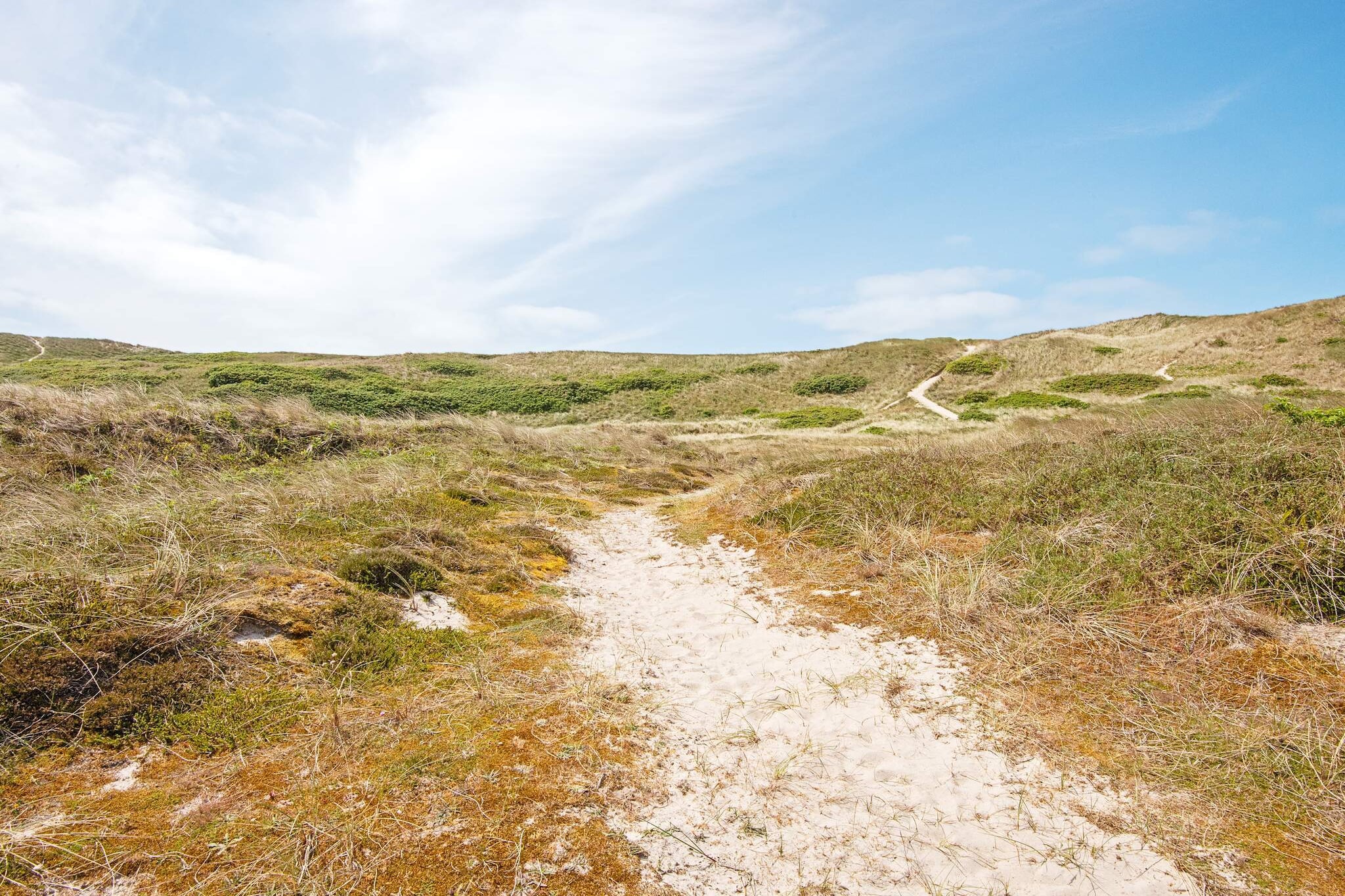 Maison de vacances pour 5 a Hvide Sande - Vue