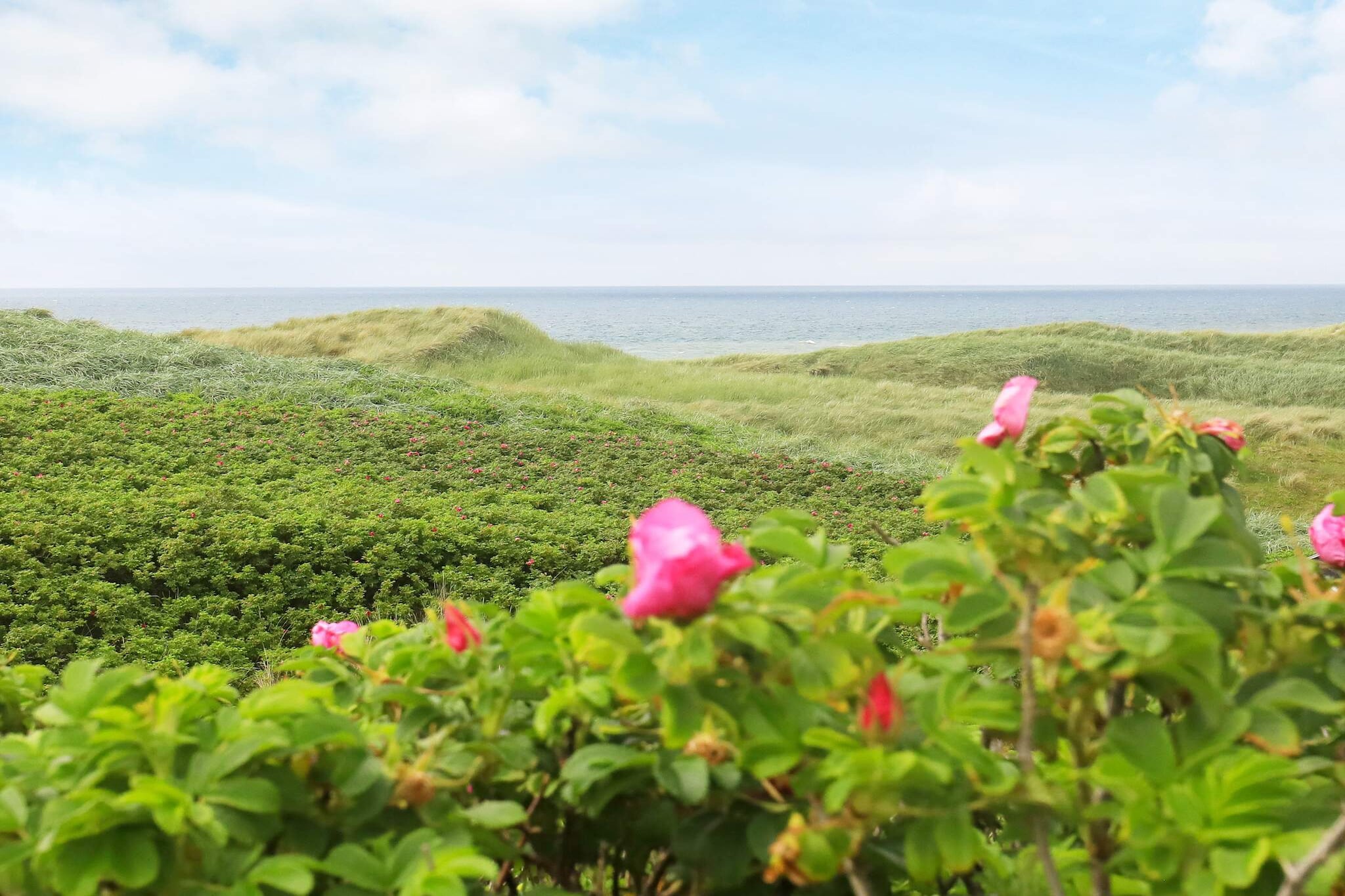 Toevluchtsoord met panoramisch uitzicht op zee - Waterzicht