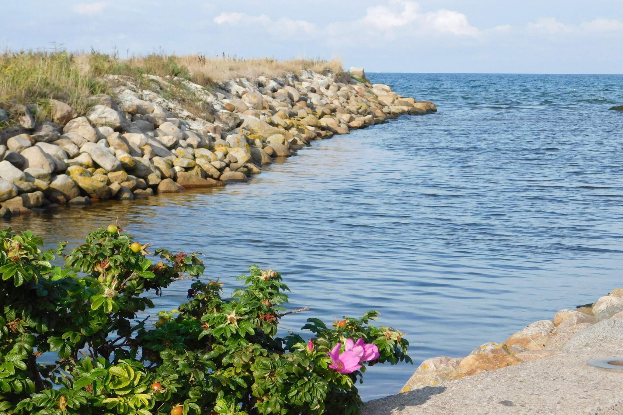Maison de vacances pour 4 a Sæby-By Traum-Vue sur l'eau
