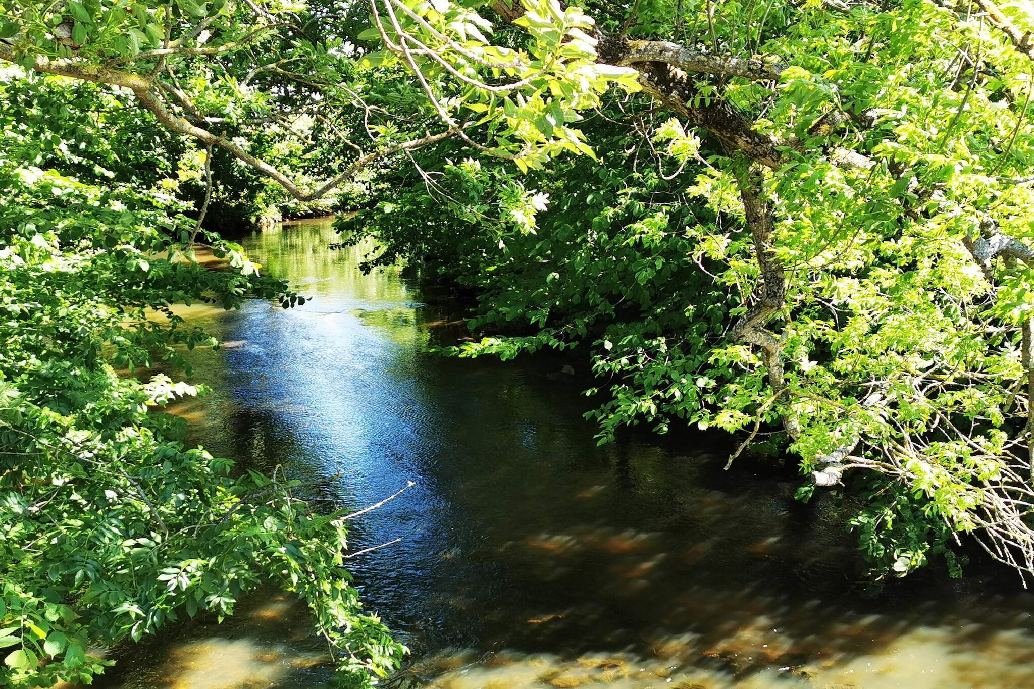 Maison de vacances pour 4 a Sæby-By Traum-Vue sur l'eau