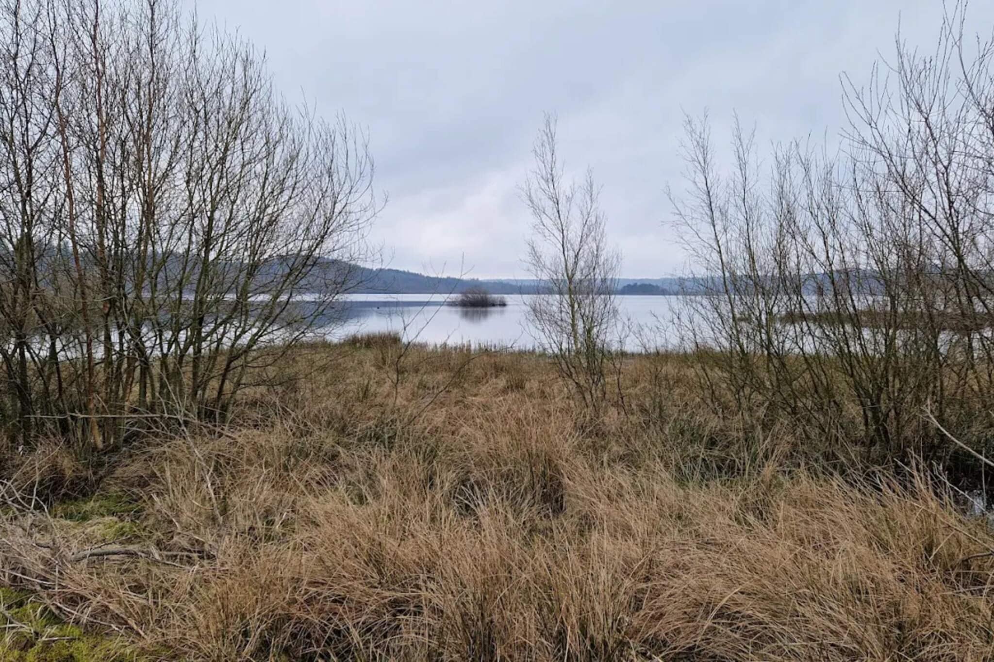 5 Personen Ferienhaus in Silkeborg-By Traum-Wasserblick