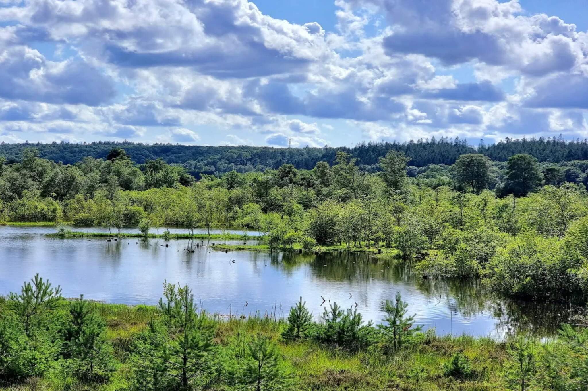 5 Personen Ferienhaus in Silkeborg-By Traum-Wasserblick
