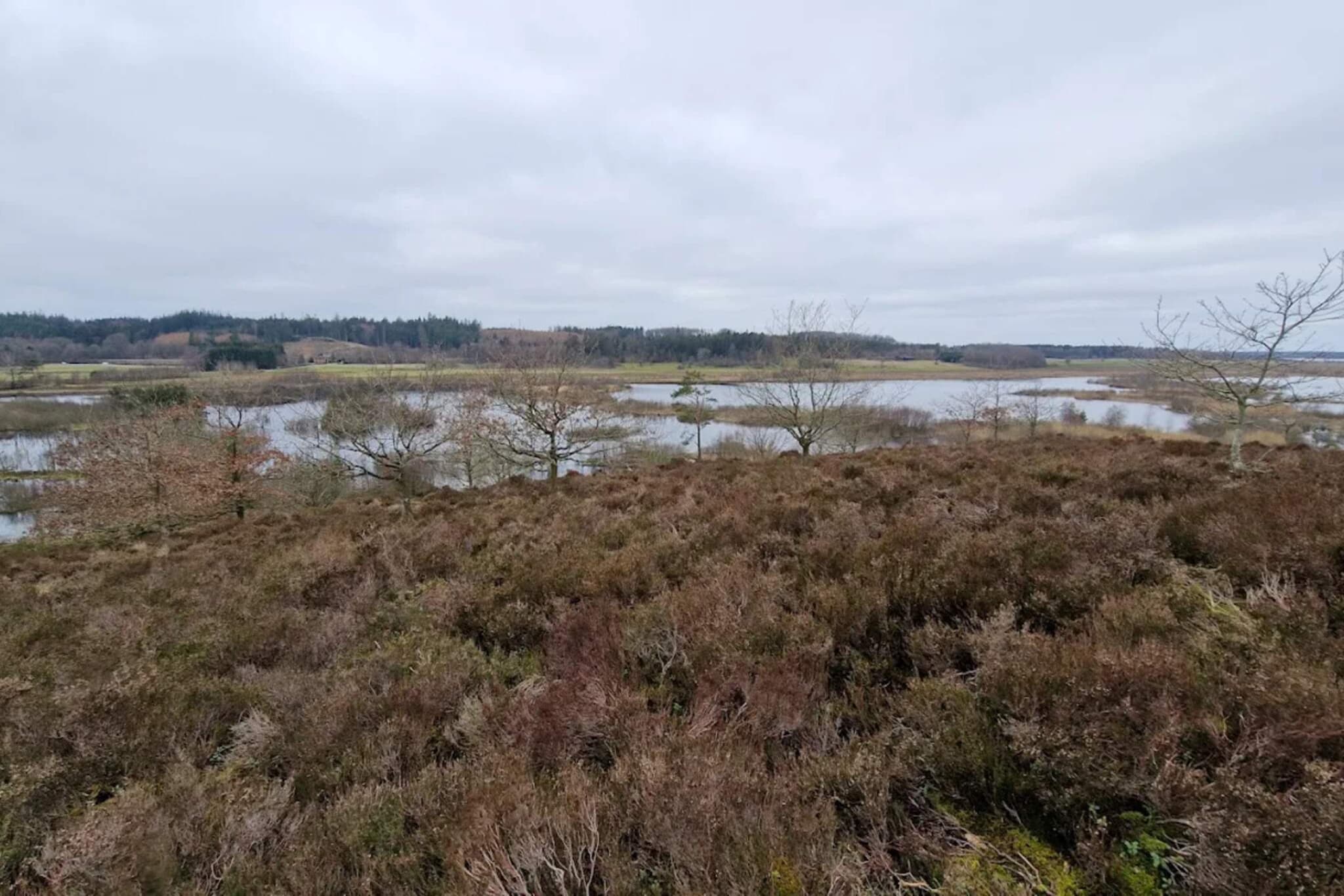 5 Personen Ferienhaus in Silkeborg-By Traum-Wasserblick