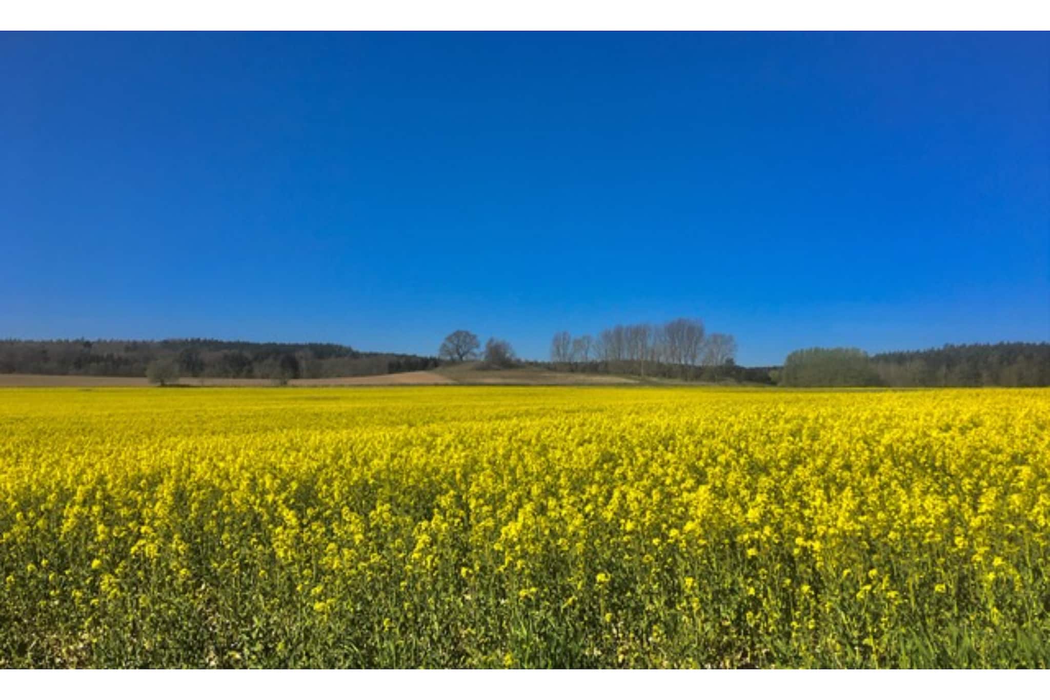 Landlust pur 1