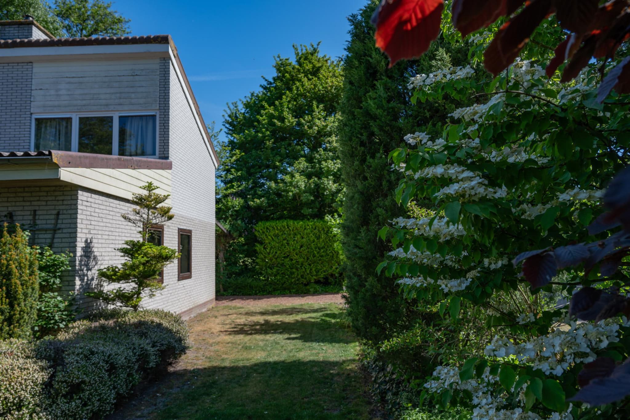 Wilgenlaan 1-Exterior summer