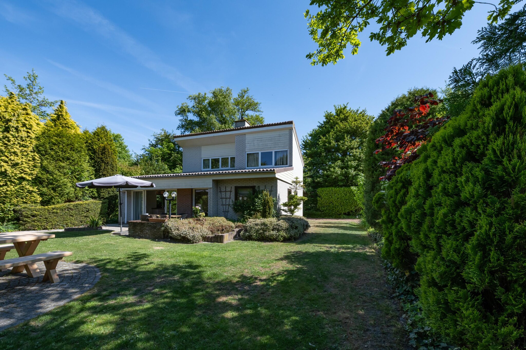 Wilgenlaan 1-Exterior summer