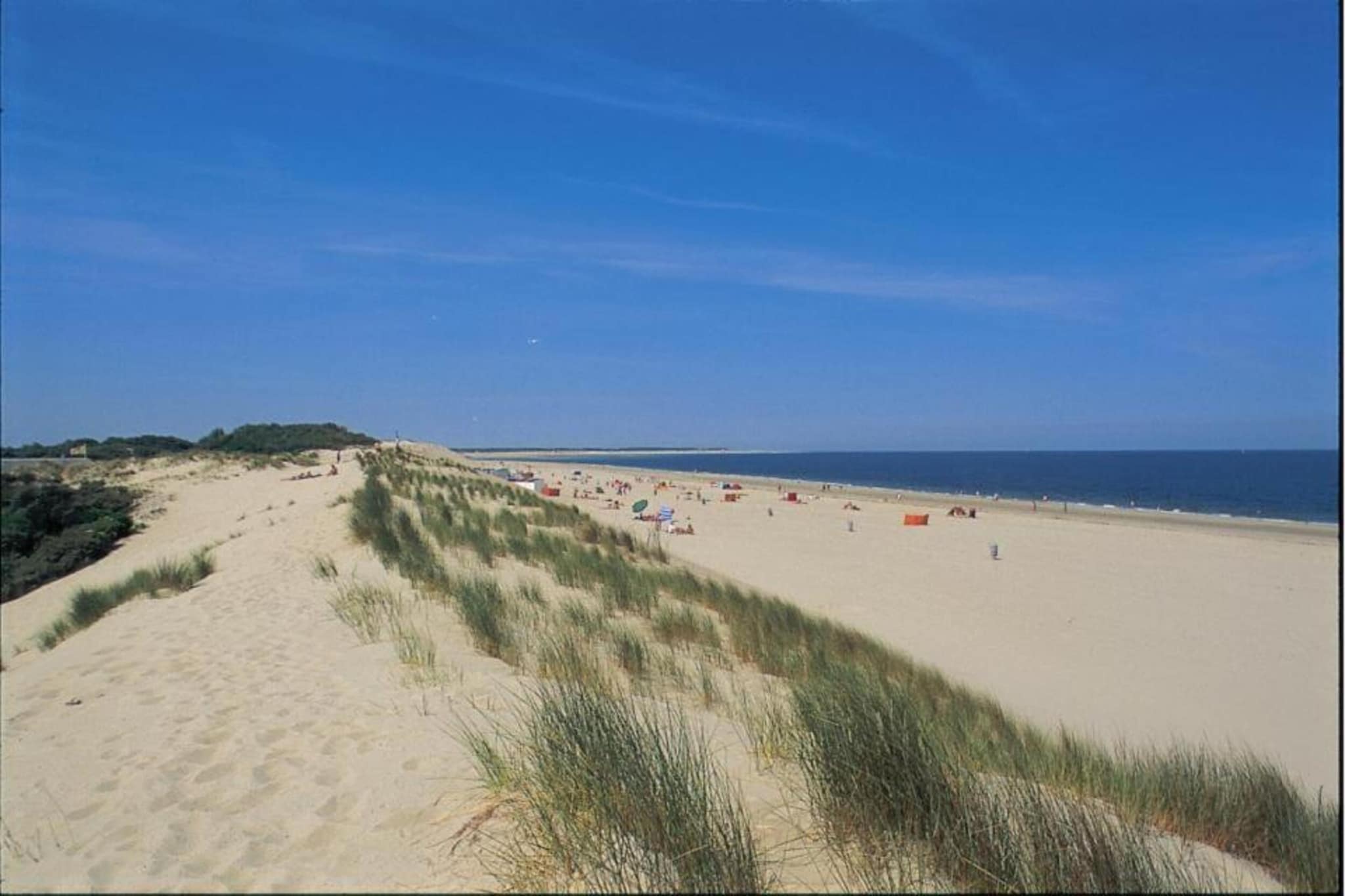 Zwanenlaan 13-Gebieden zomer 20km