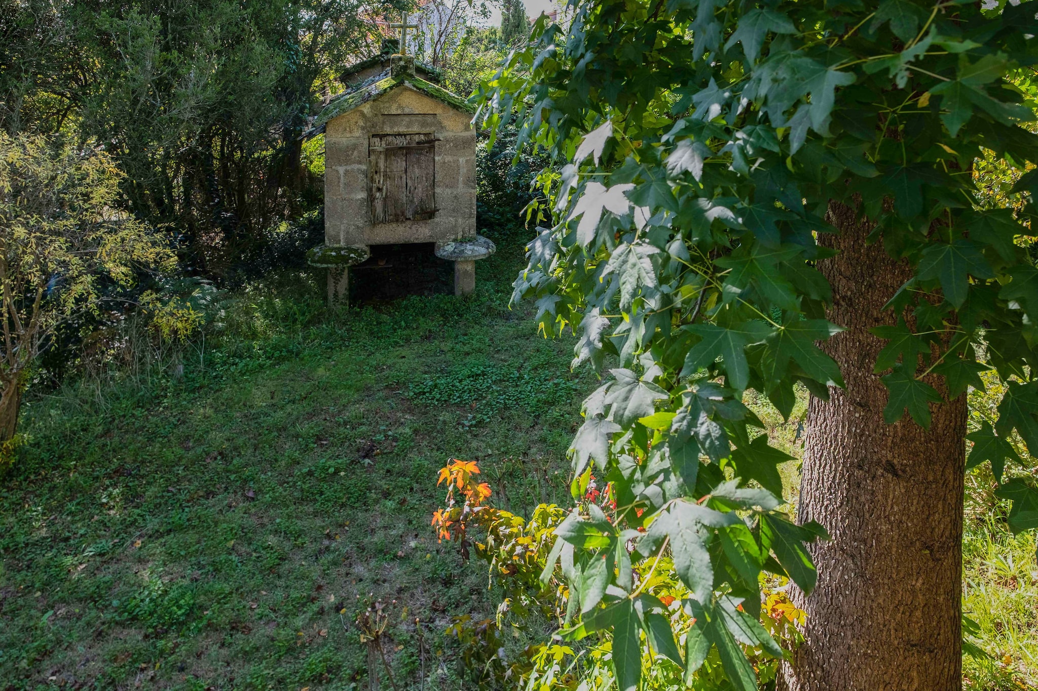 Garden Summer