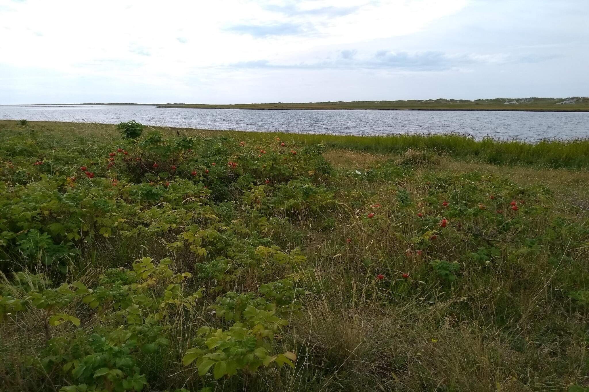 6 persoons vakantie huis in Læsø-By Traum-Niet-getagd