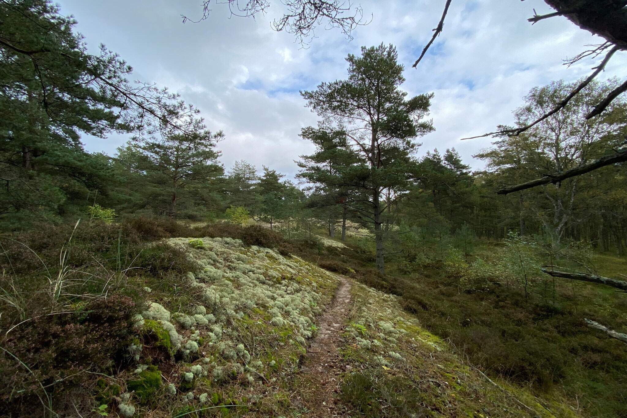 6 persoons vakantie huis in Læsø-By Traum-Niet-getagd