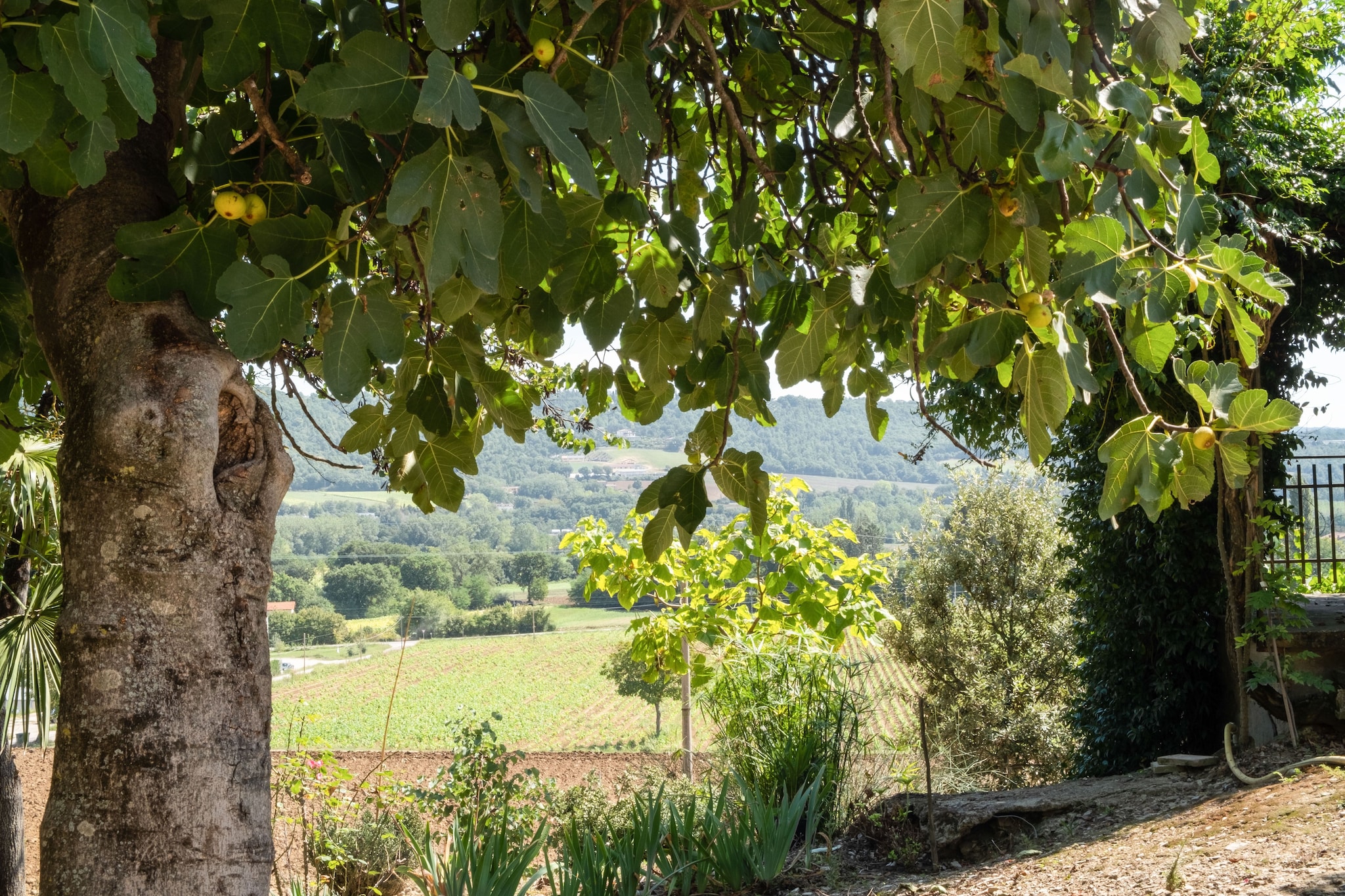 Stalla-View summer