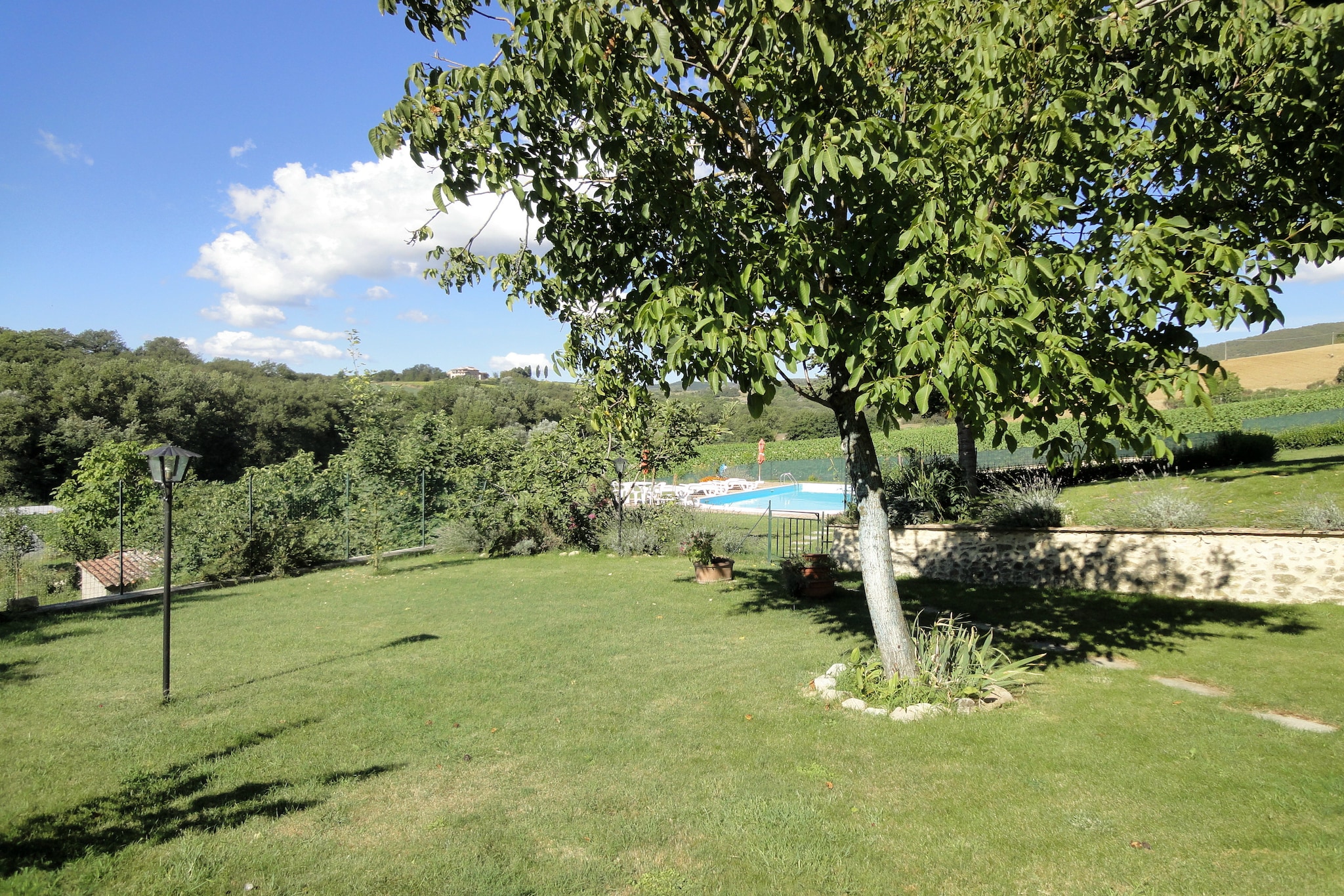 Essiccatoio Rosa-View summer