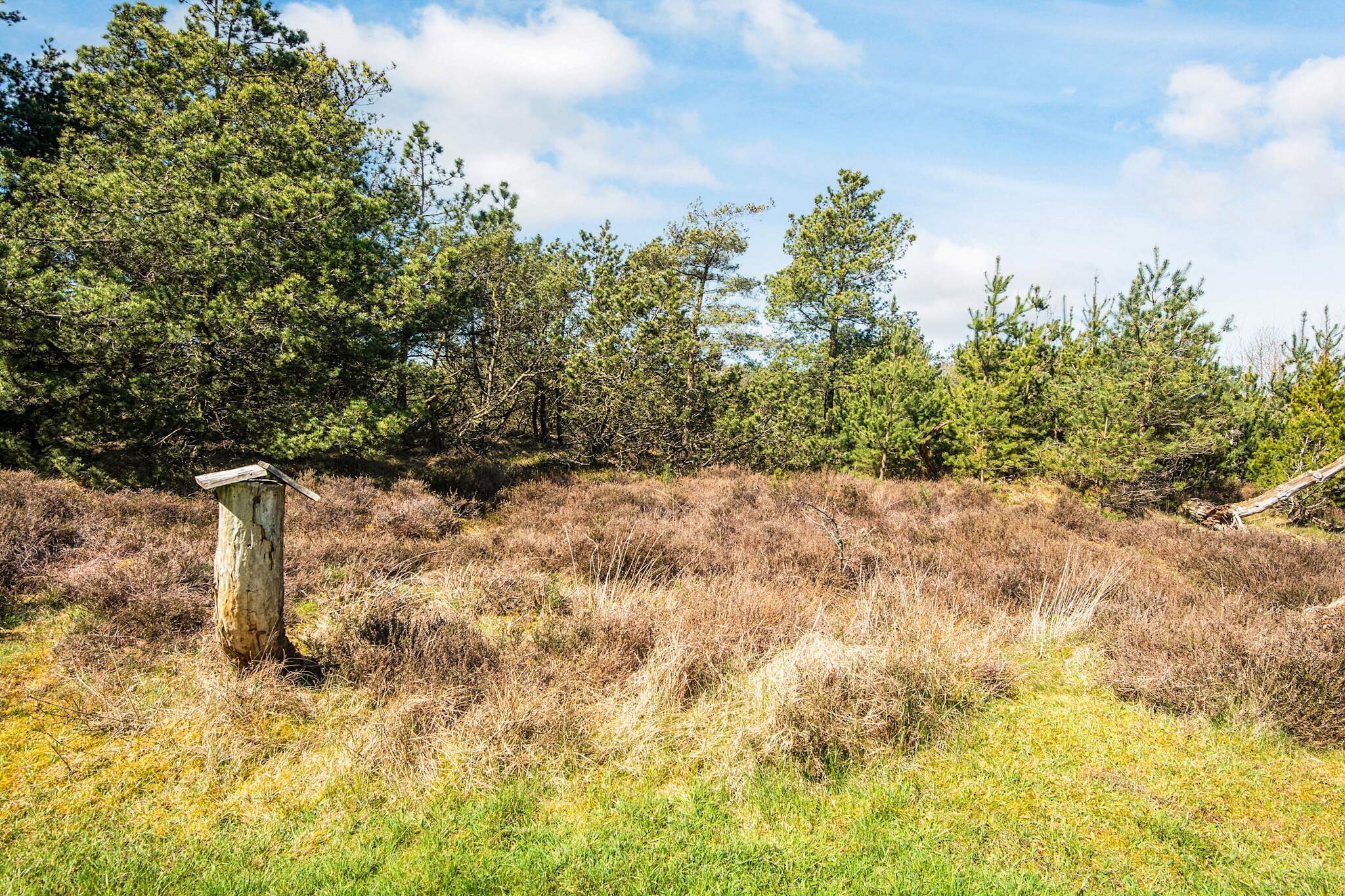 6 persoons vakantie huis in Rømø-By Traum-Uitzicht