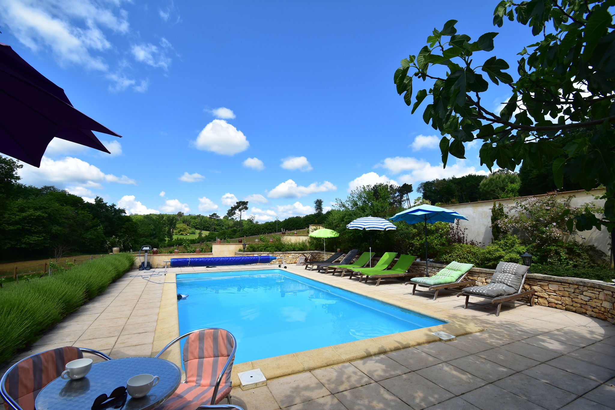 Maison de vacances ensoleillée avec piscine privée à Besse