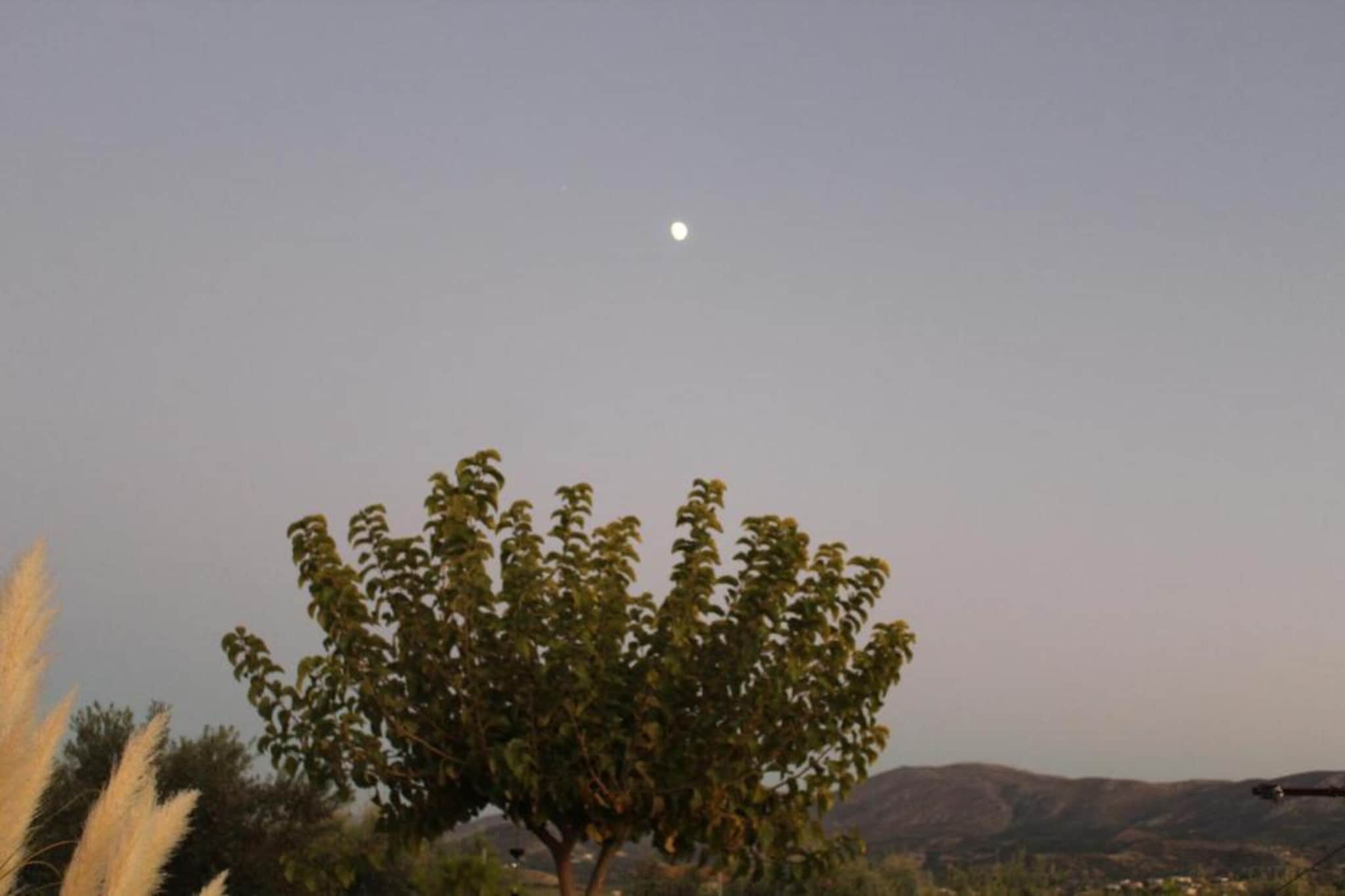Orelia Cretan Villa II 4 persons-Gebieden zomer 20km