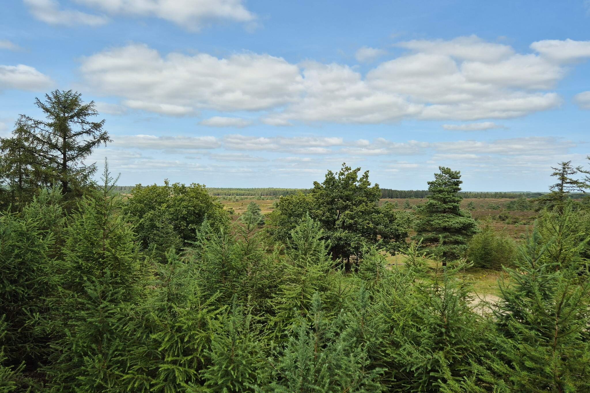 4 persoons vakantie huis in Grindsted-By Traum