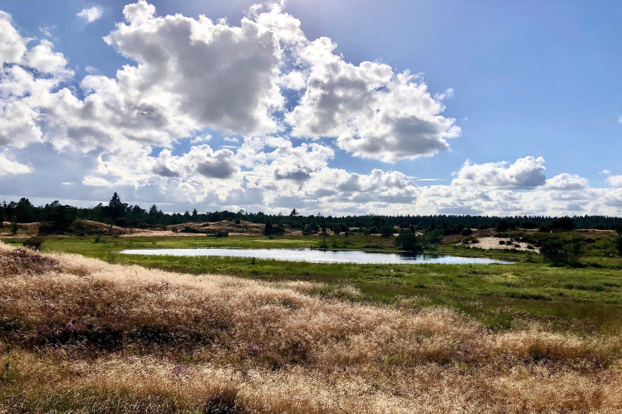 4 persoons vakantie huis in Grindsted-By Traum-Waterzicht