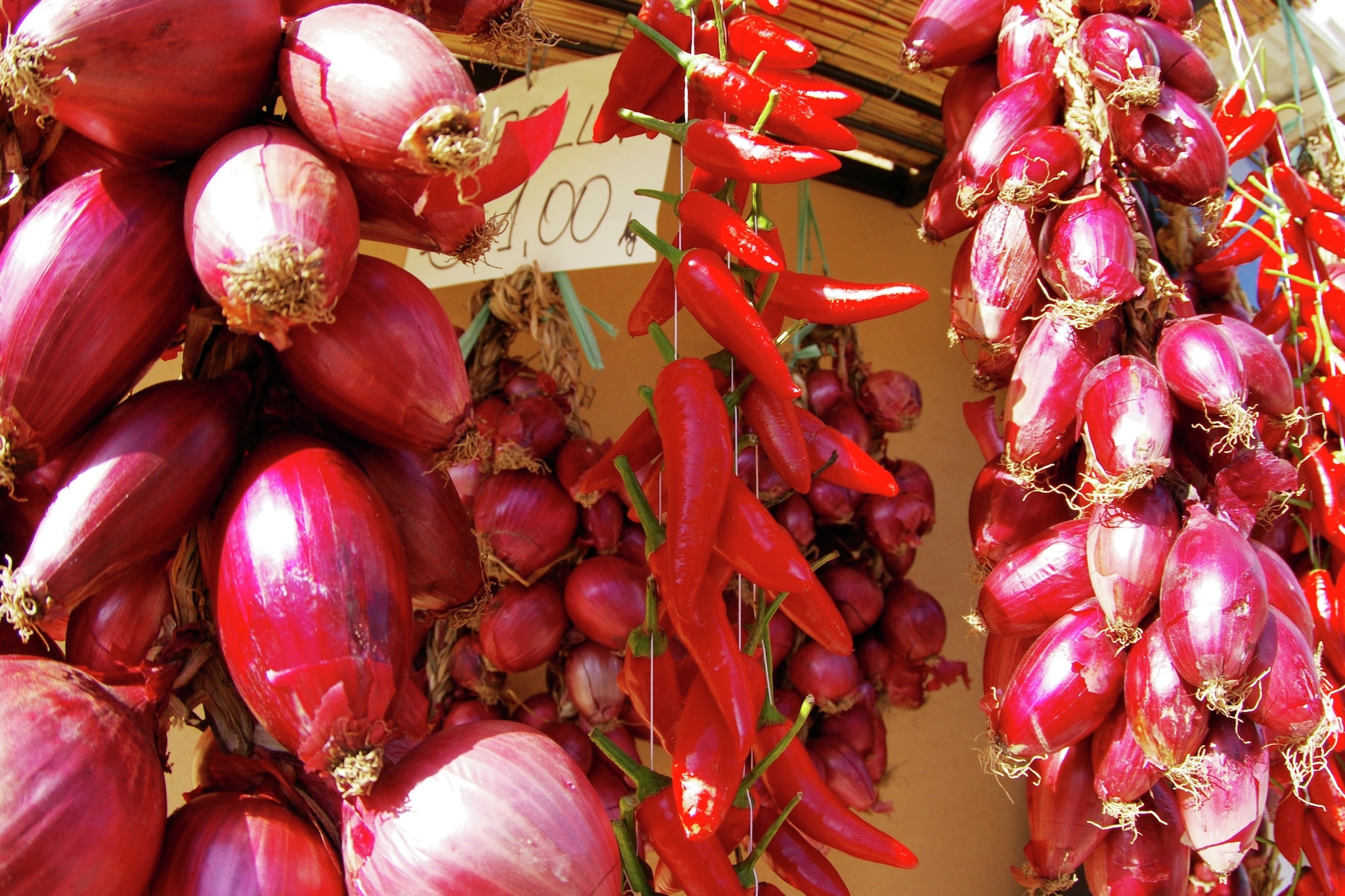 Cipolla Rossa-Areas within 20km in summer