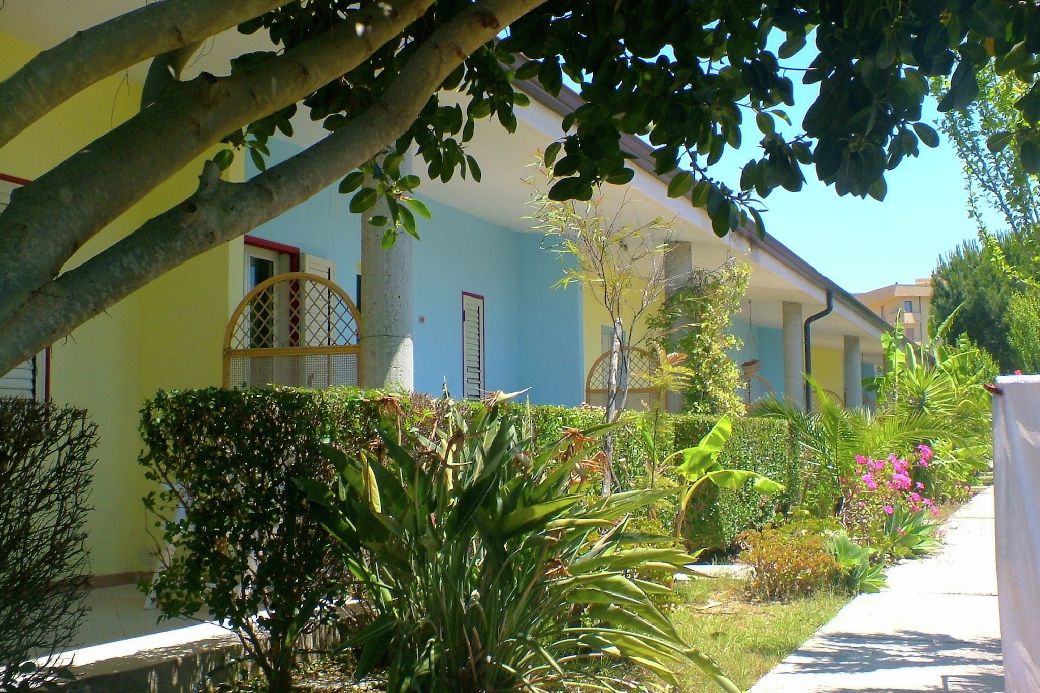 Cipolla Rossa-Exterior in summer