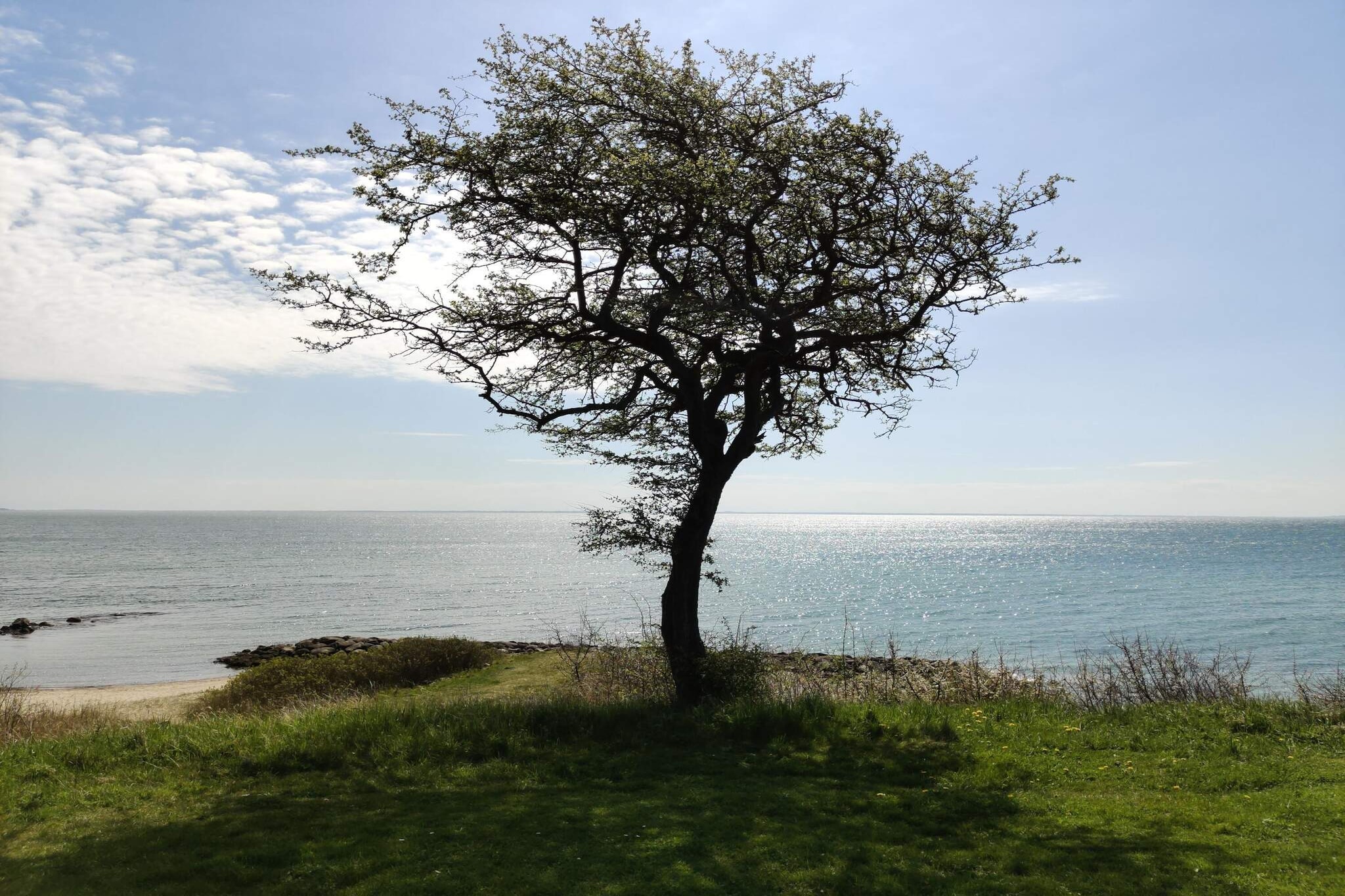 6 persoons vakantie huis in Juelsminde-By Traum-Waterzicht