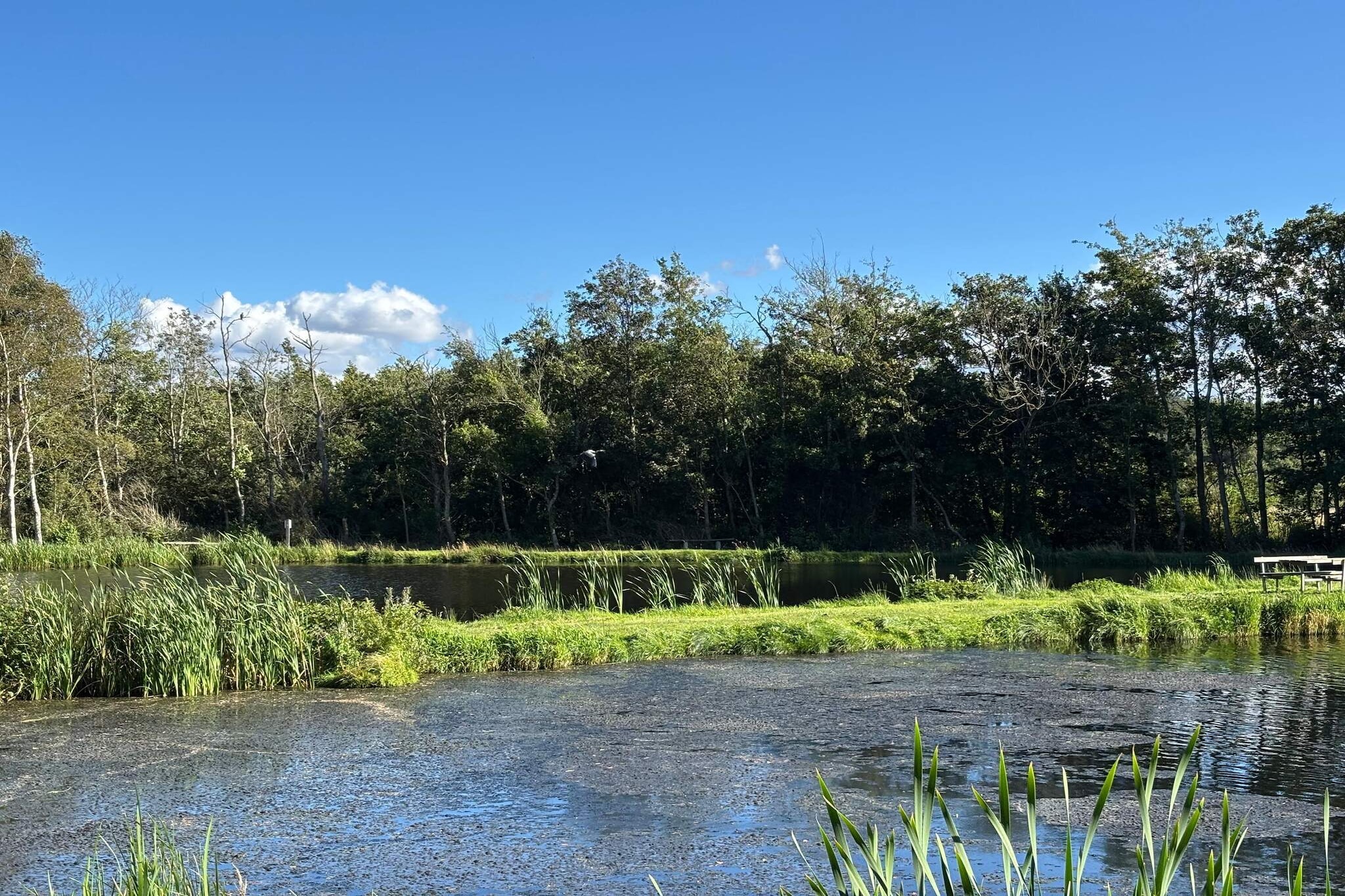 Water View