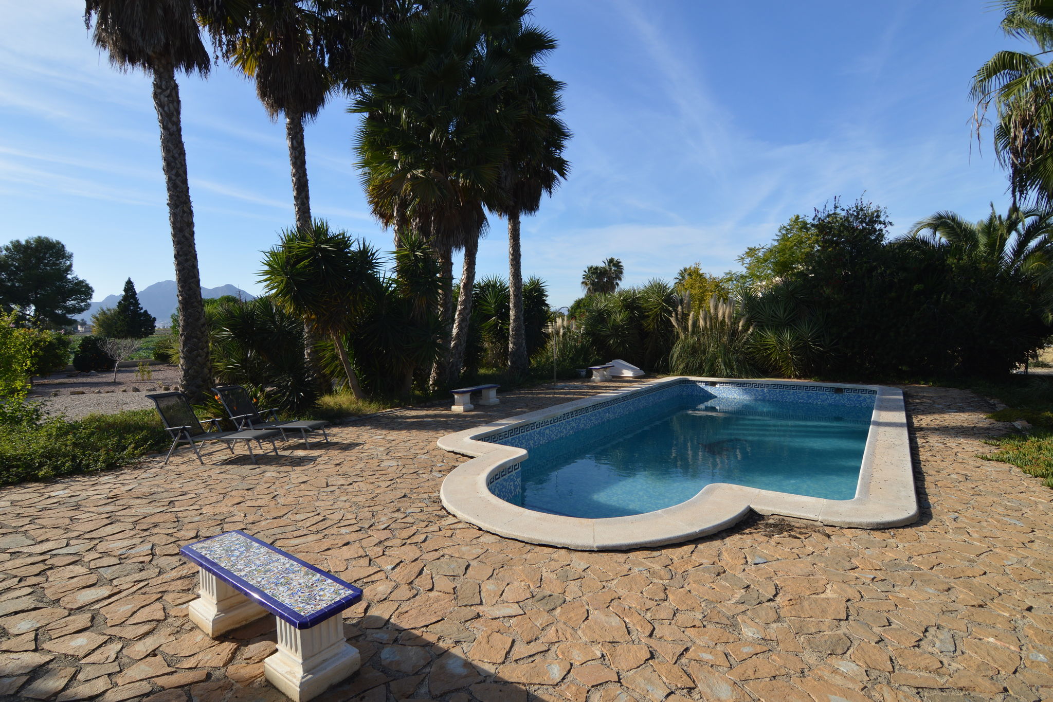 Gastvrije villa in Catral met privézwembad