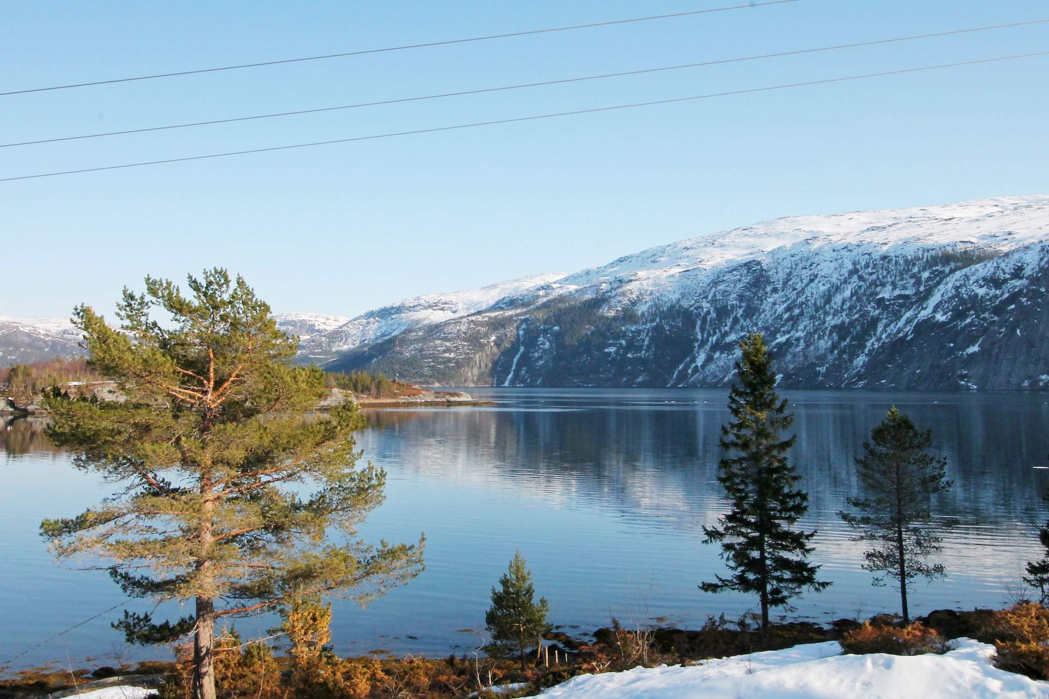 ÅRFJOR