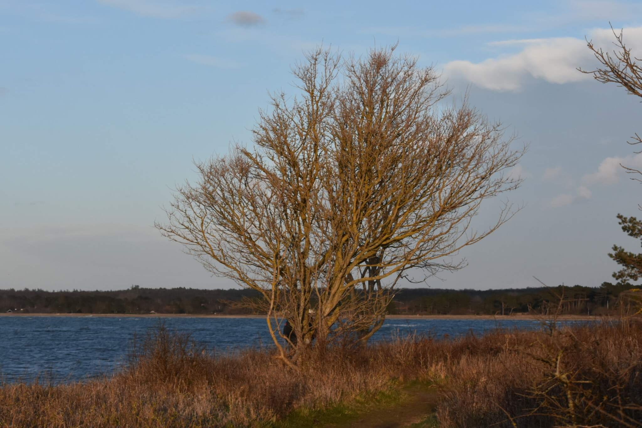 5 person holiday home in Asnæs-By Traum-Water view