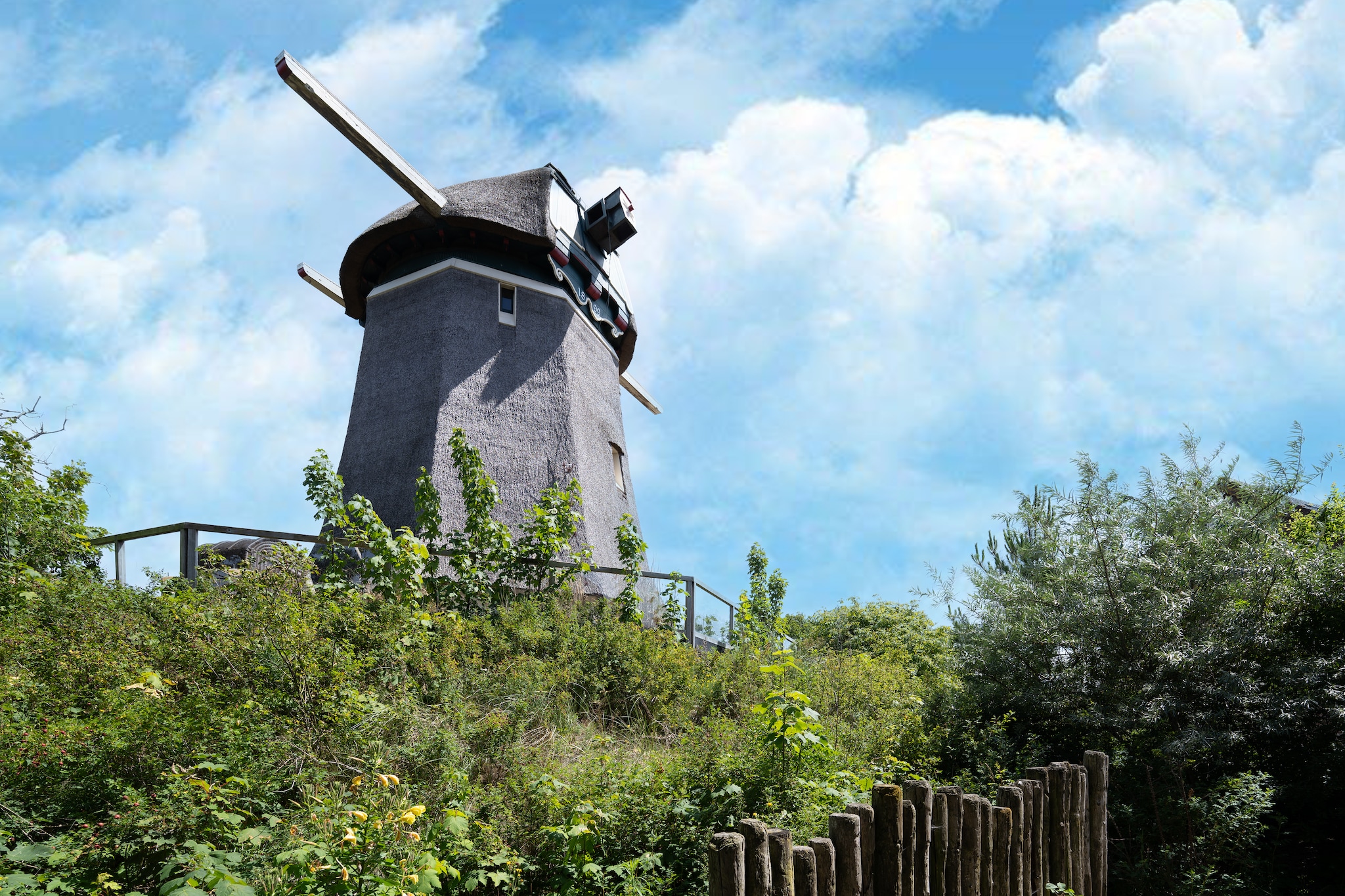 Onder de molen-Gebieden zomer 1km