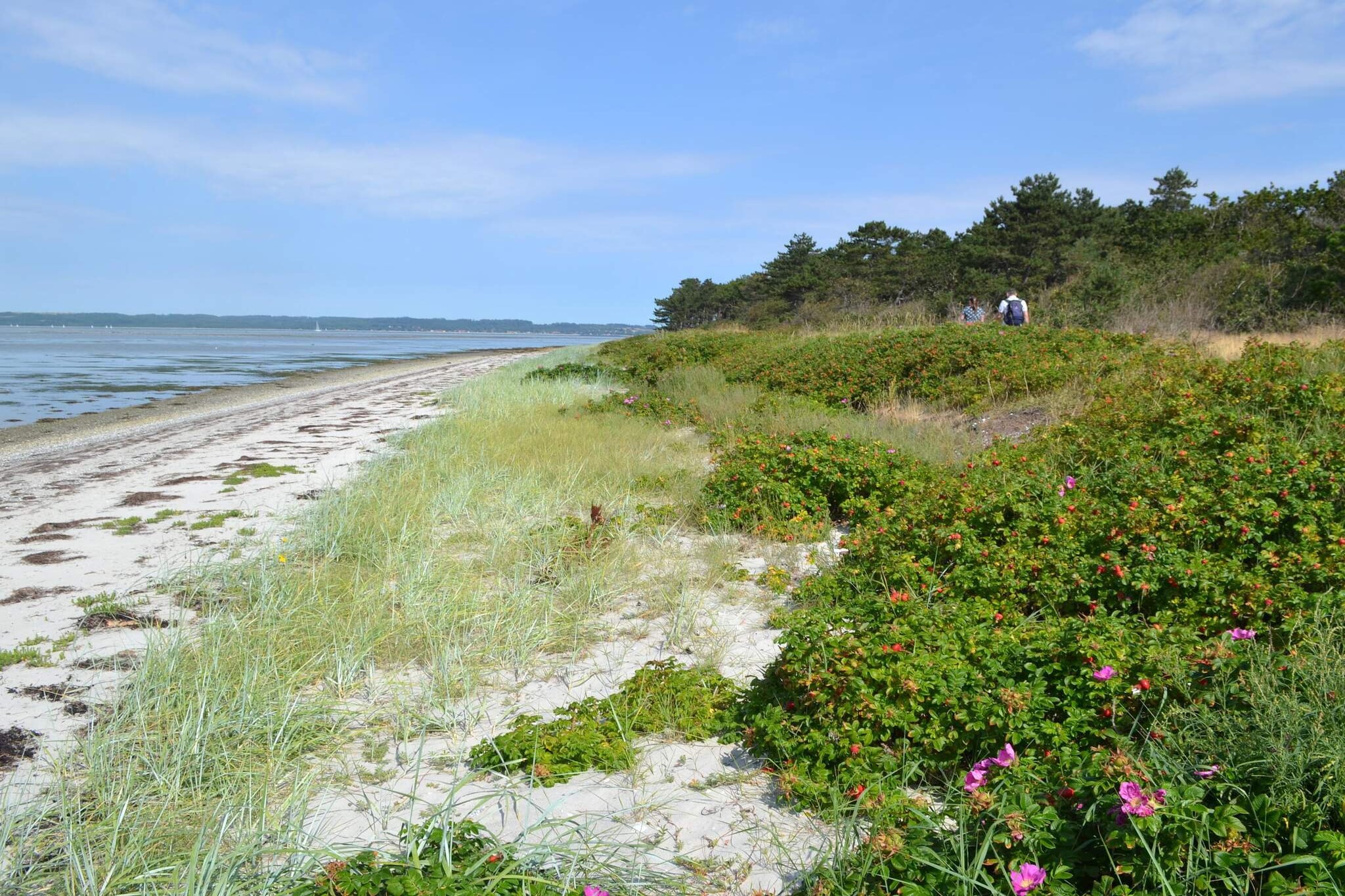 4 persoons vakantie huis in Ebeltoft-By Traum-Waterzicht
