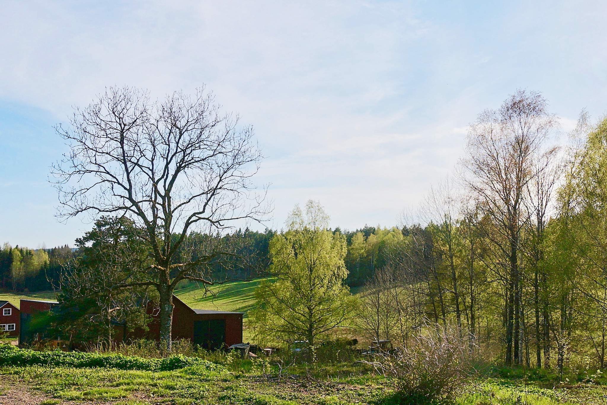 Outdoor