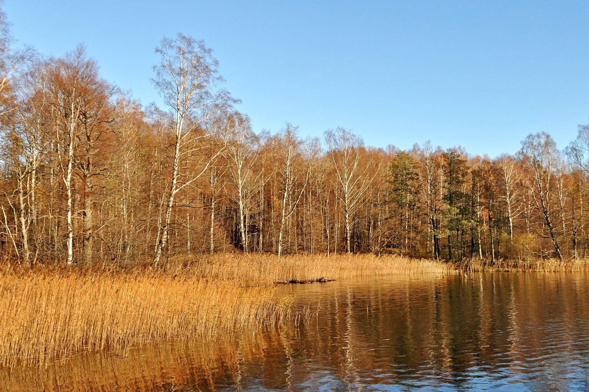 Water View