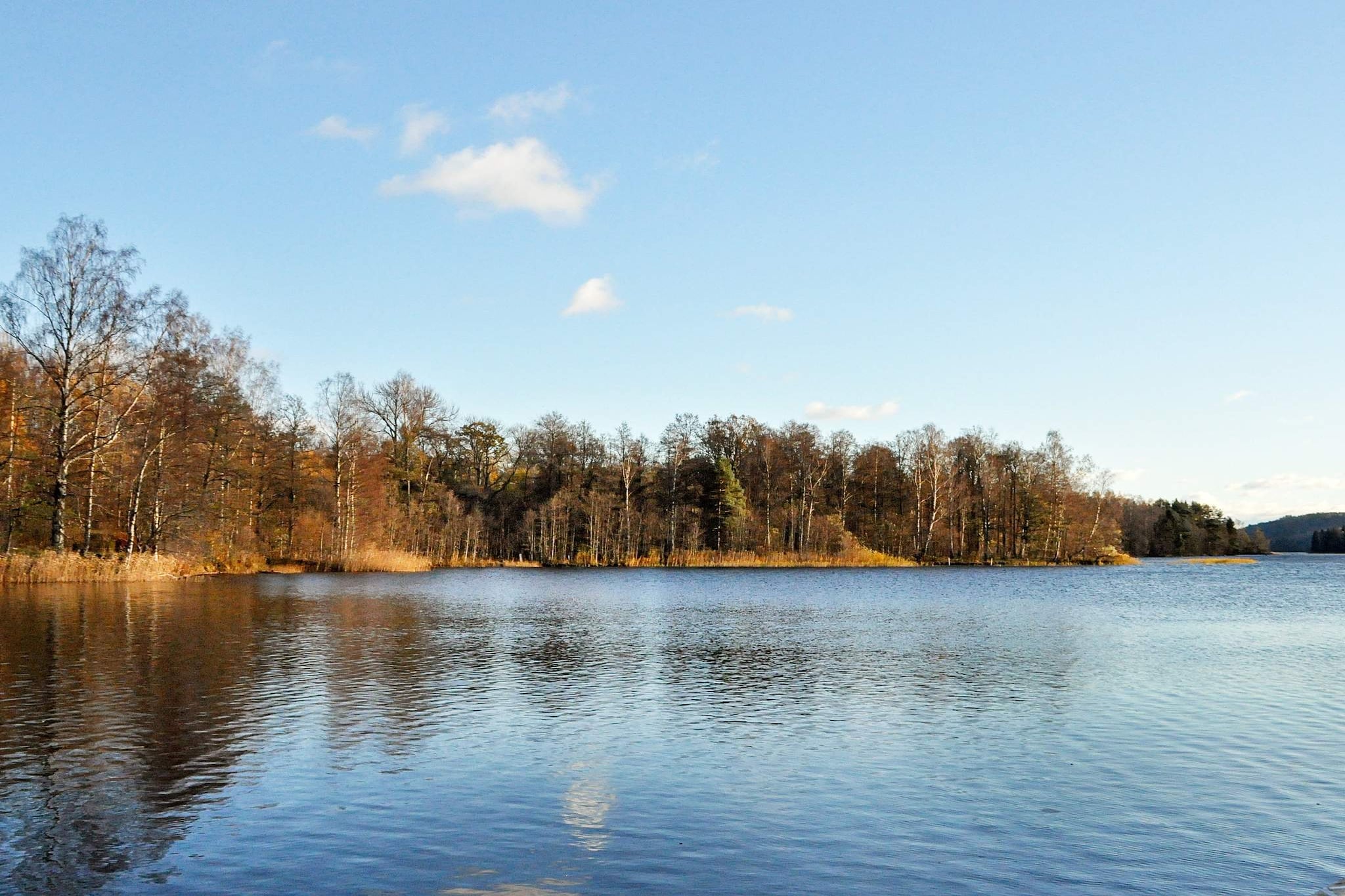 Water View