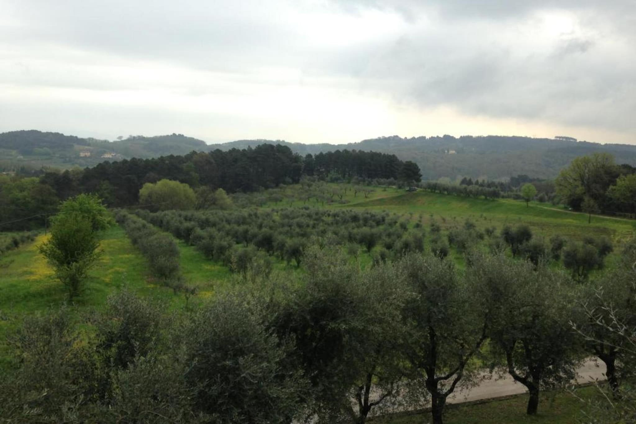 Le Mura di Lucca-Gebieden zomer 20km