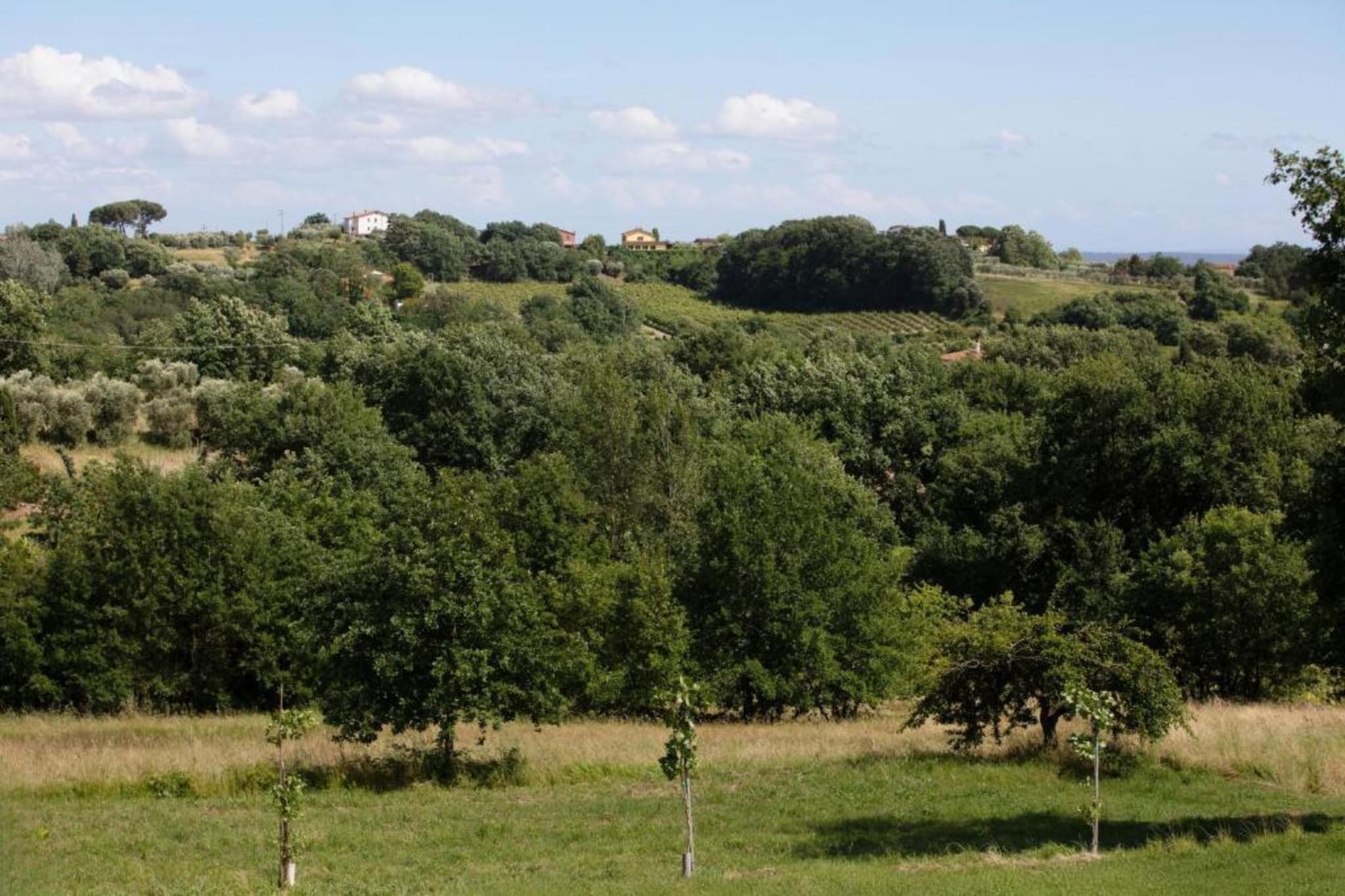 Le Mura di Lucca-Gebieden zomer 20km