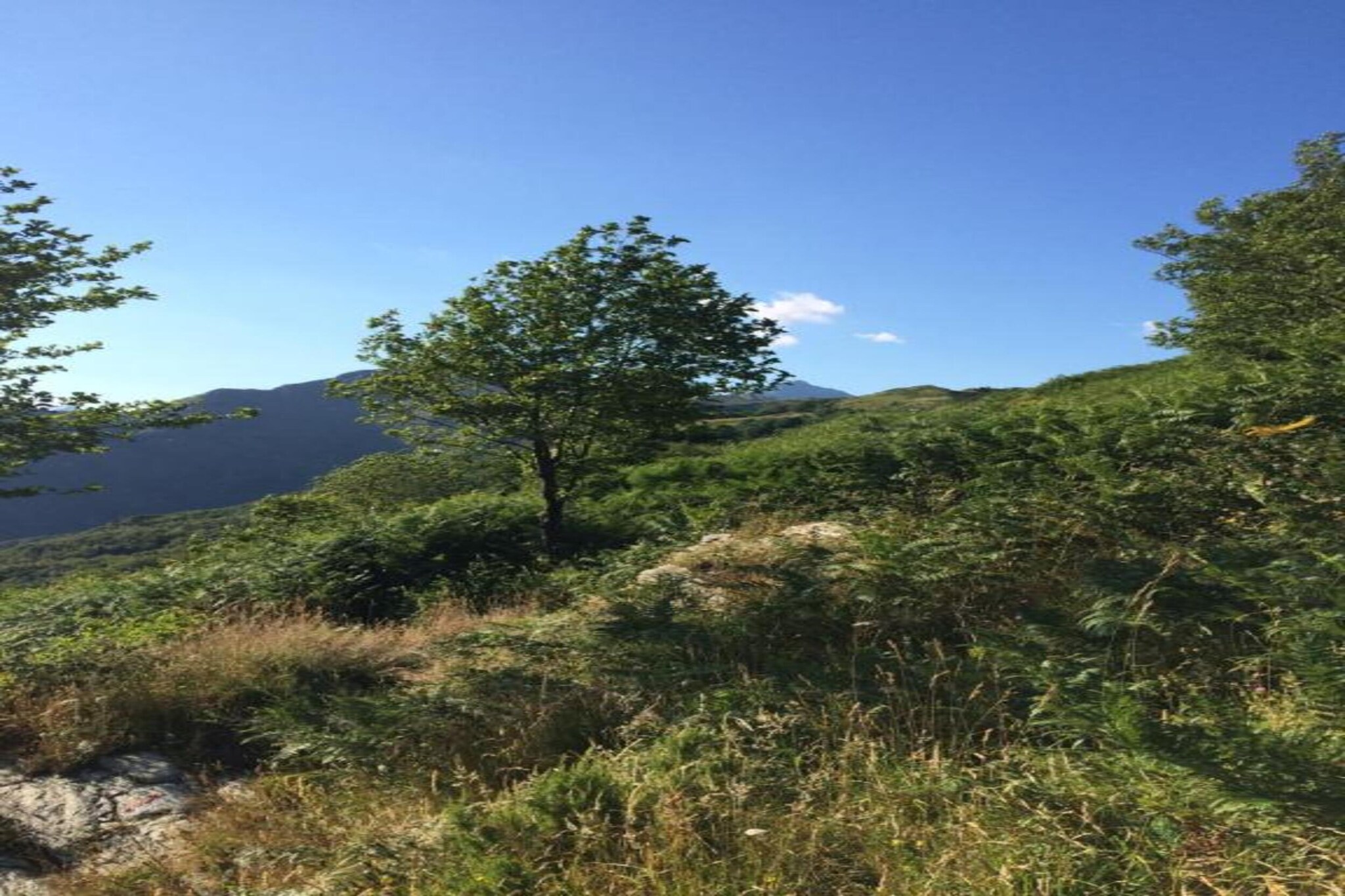 Casa Irene-Zones d'été à 20 km