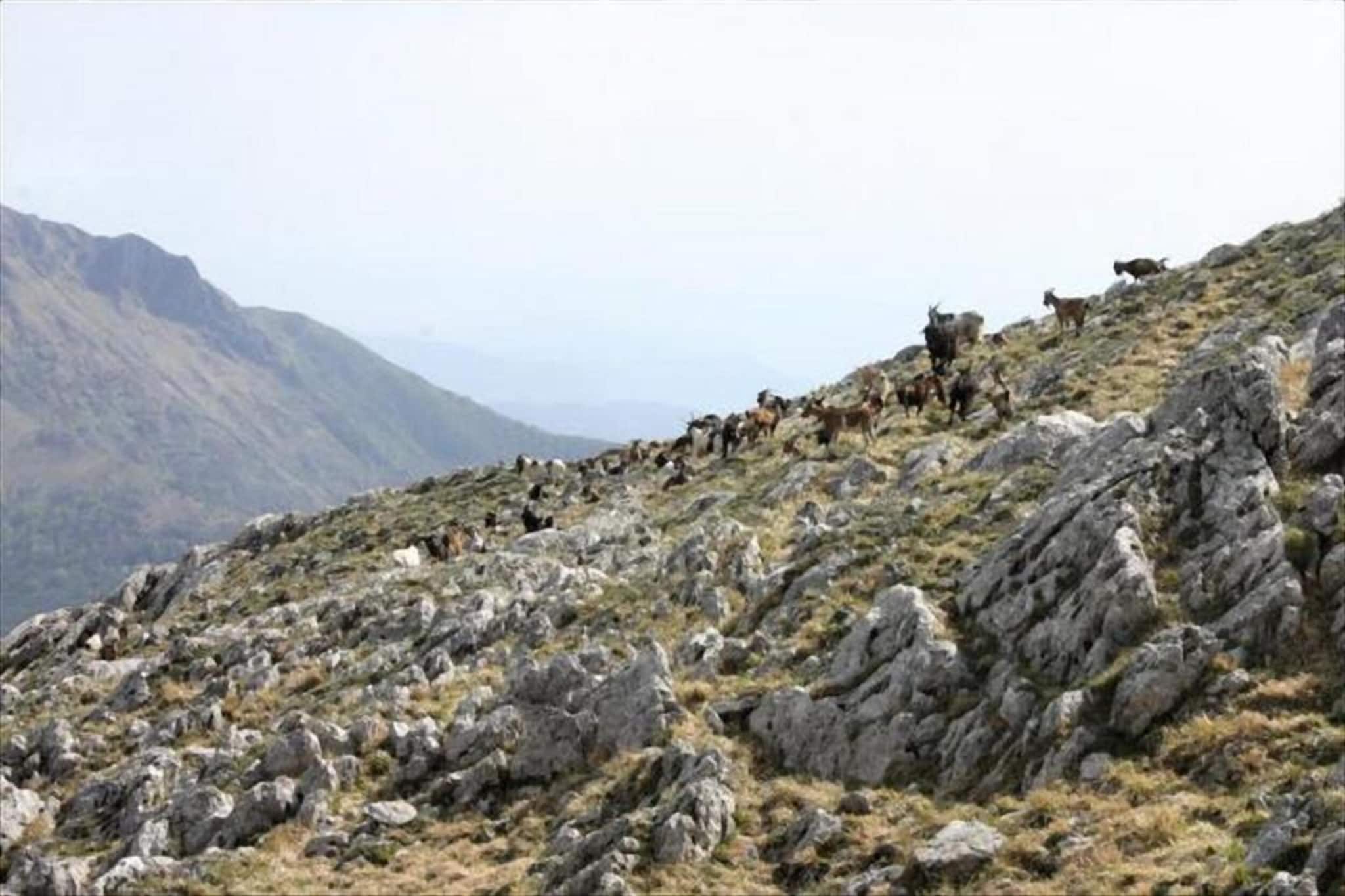 Casa Irene-Zones d'été à 20 km