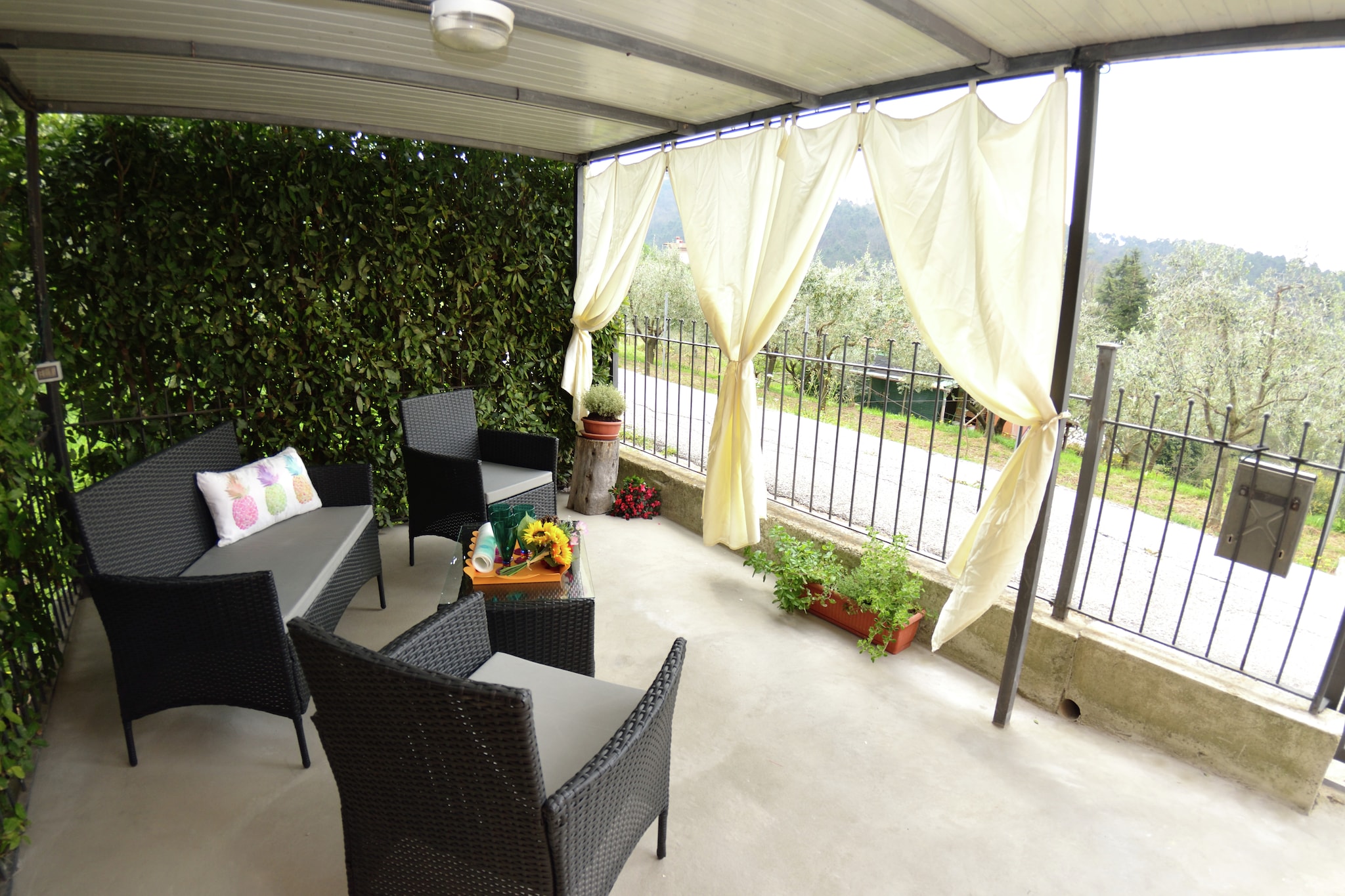 Garden Summer
