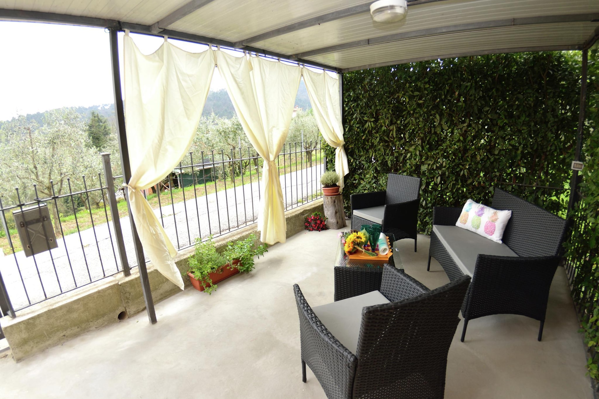 Garden Summer